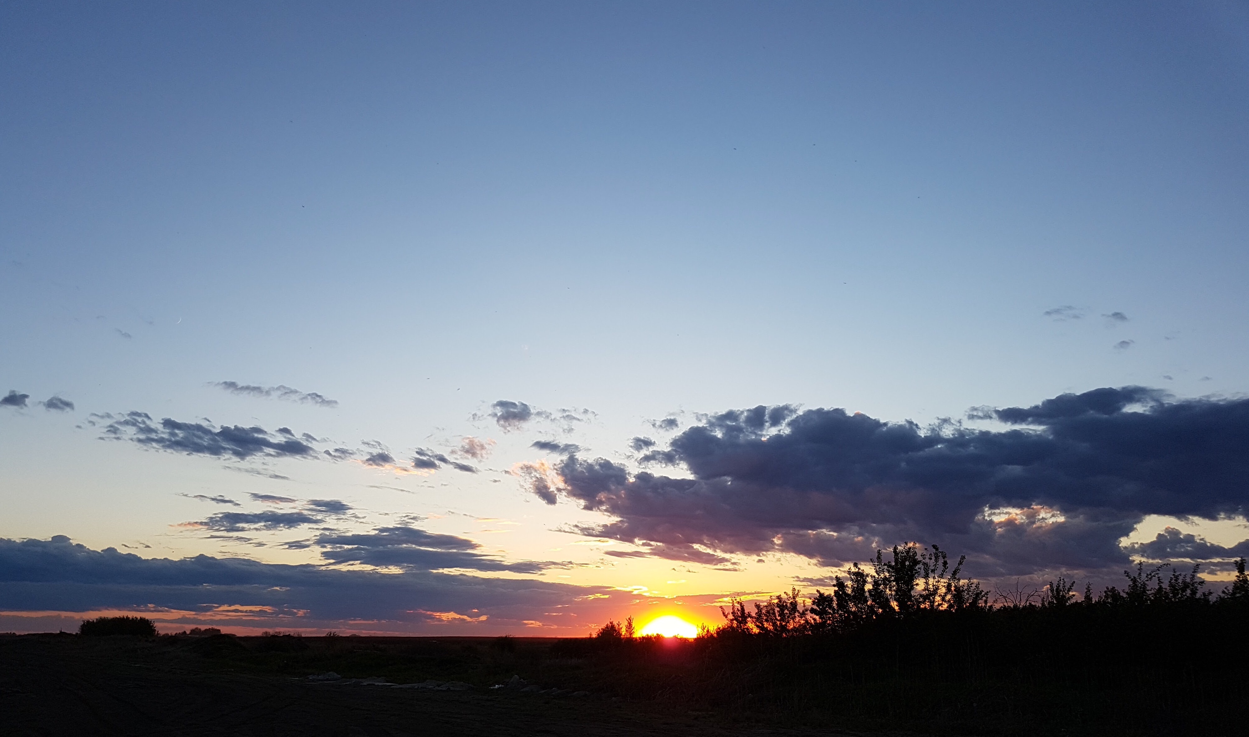 7D816651-32C2-41D3-A5A5-D8F209B1E2FC.jpeg