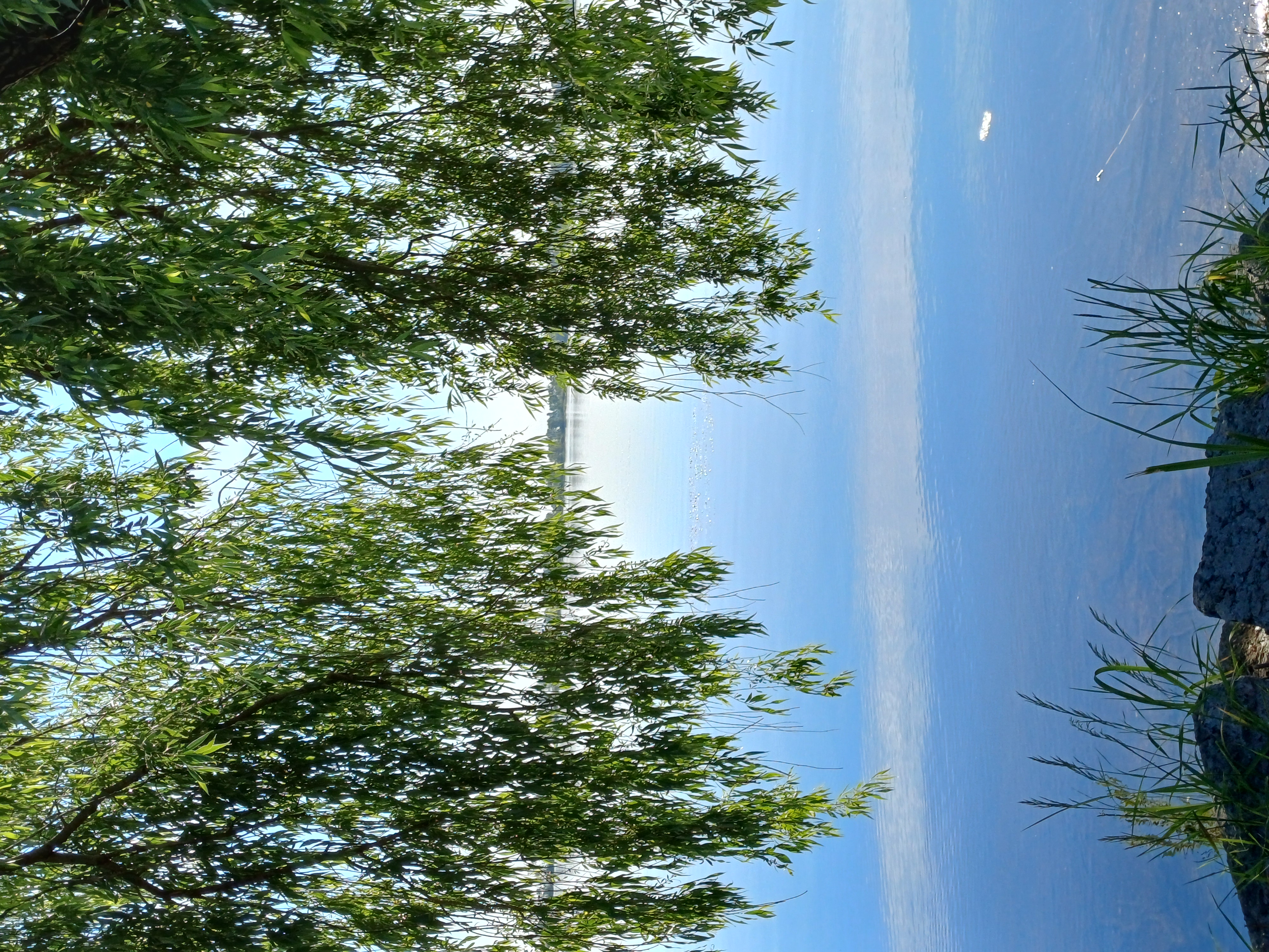 20260602_075416.jpg