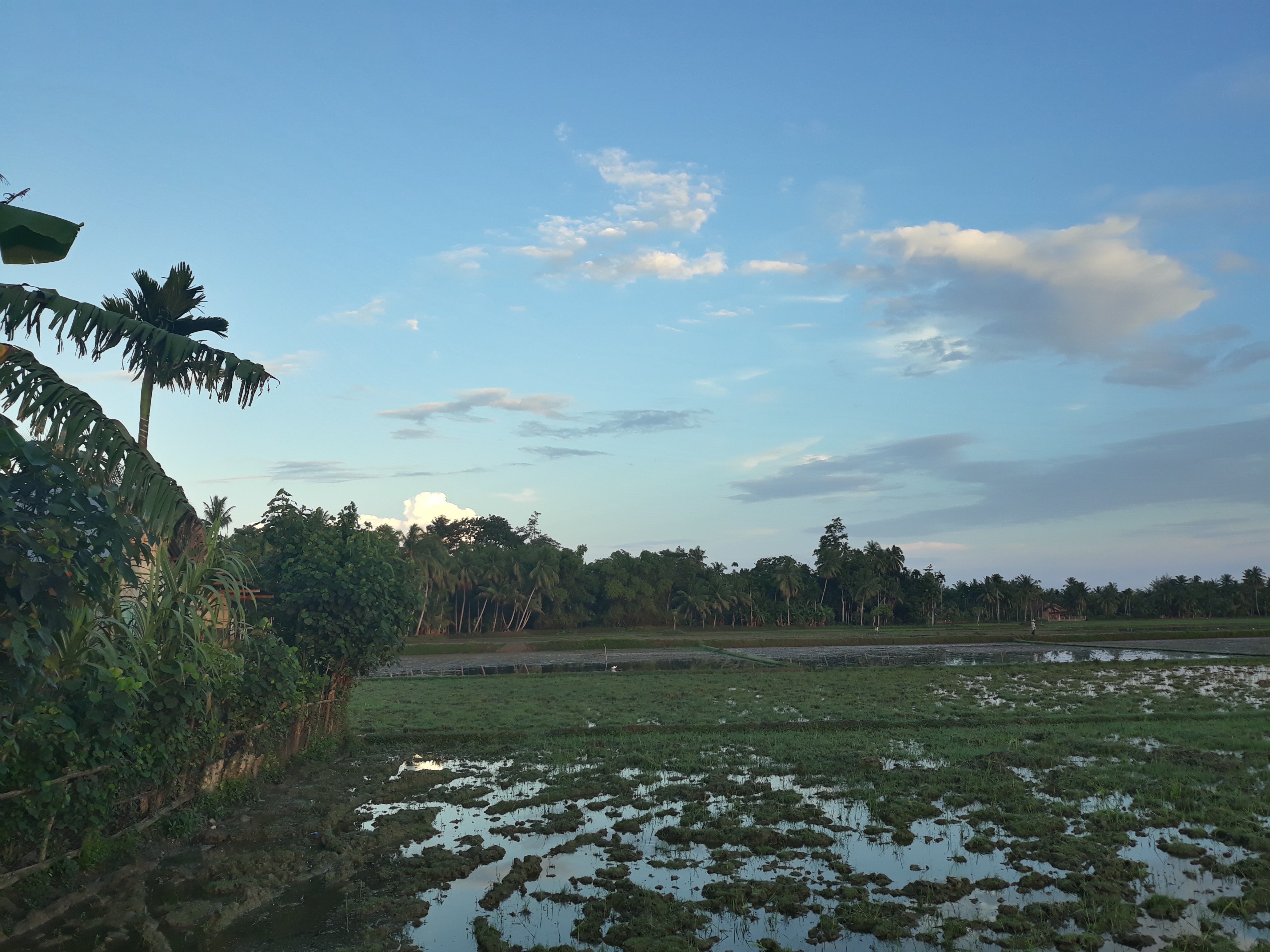 Terkeren 30 Pemandangan Indah Sejuk - Foto Pemandangan HD