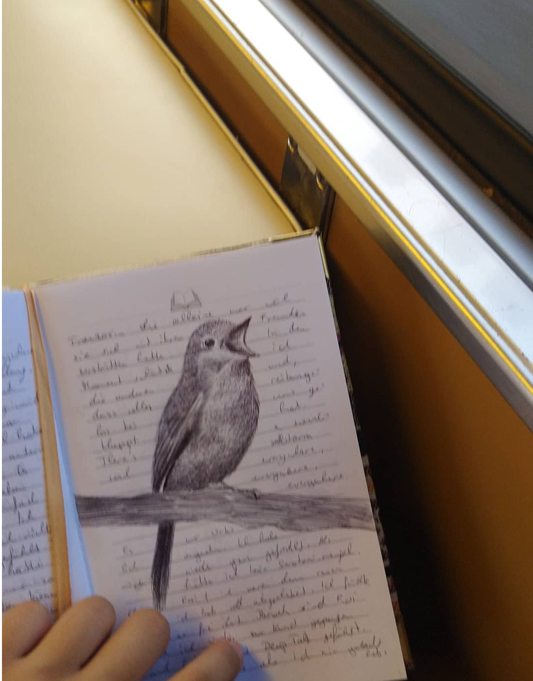 birddd.png