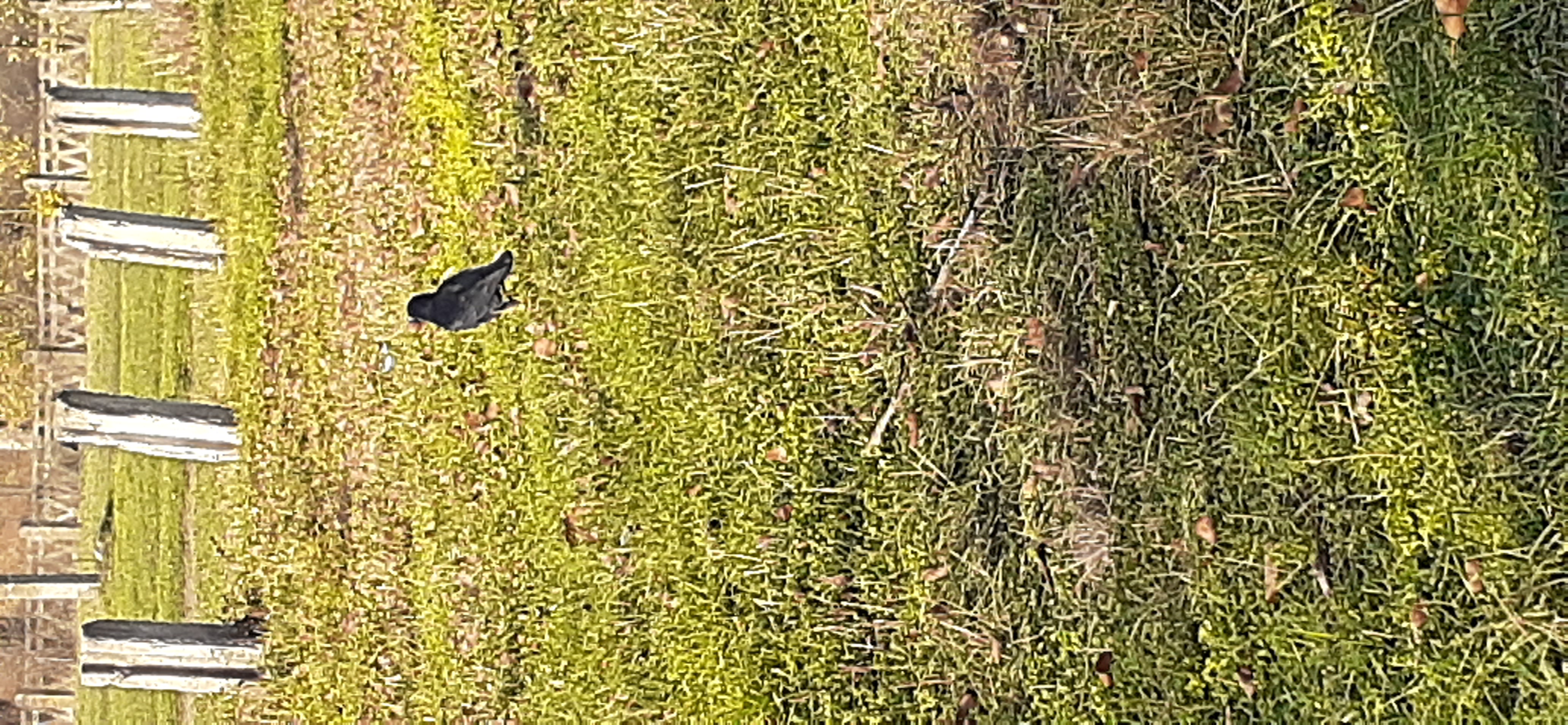 20201112_142704.jpg