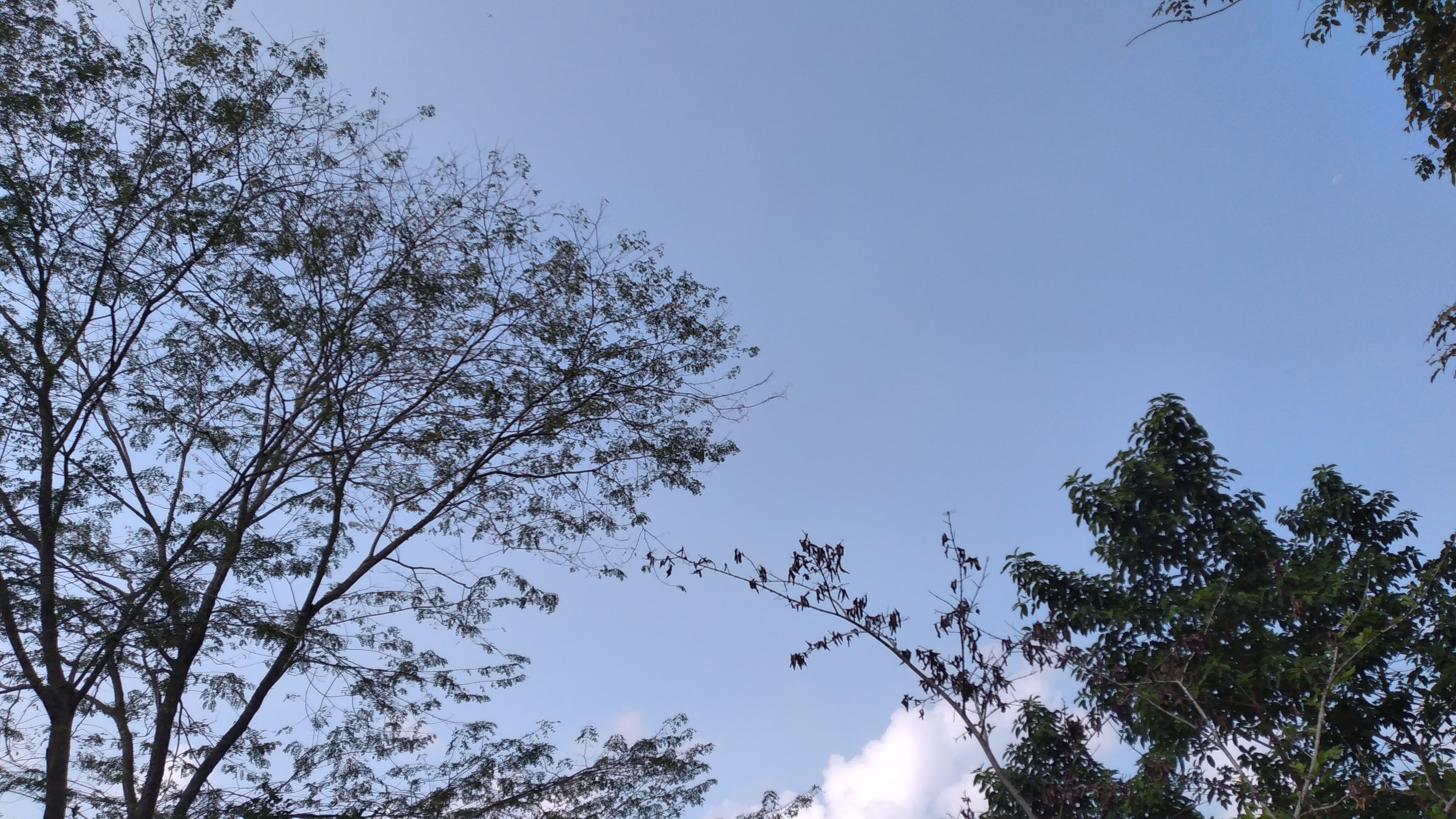 IMG_20211226_092916.jpg