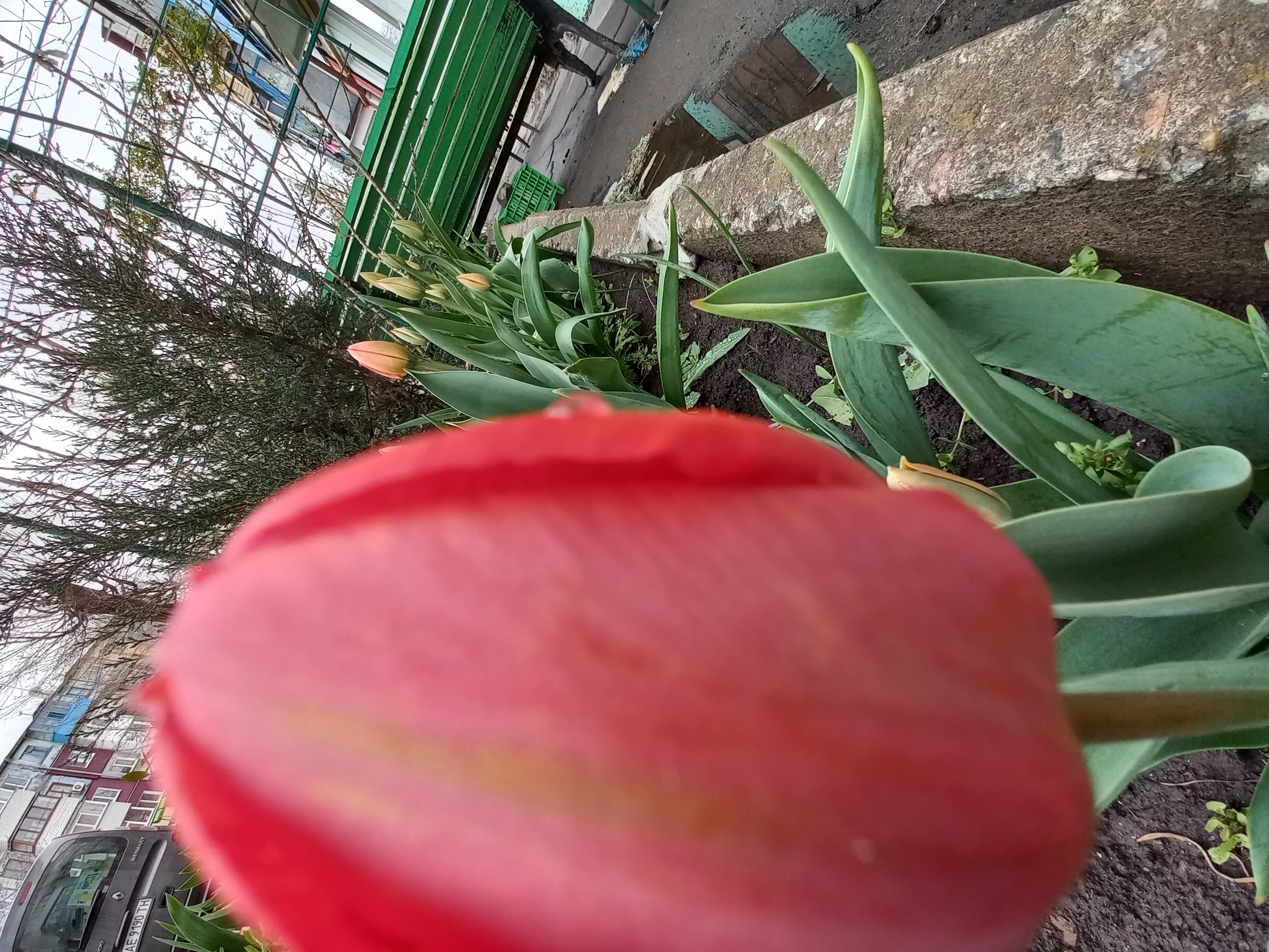 20220412_121453.jpg