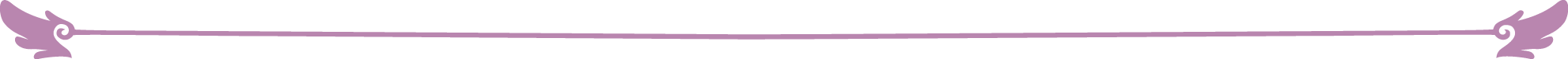 divisor de texto sencillo.png