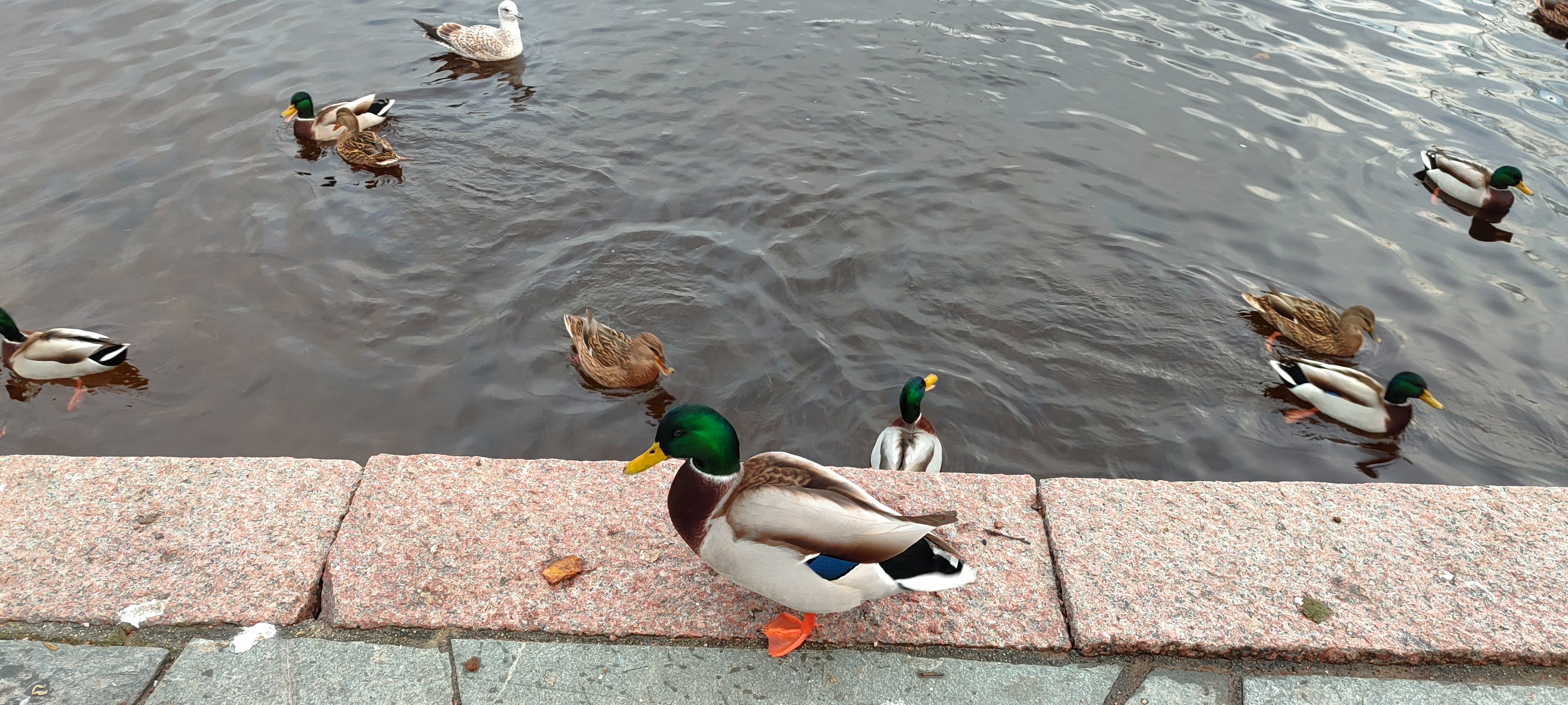 IMG_20251110_154038.jpg