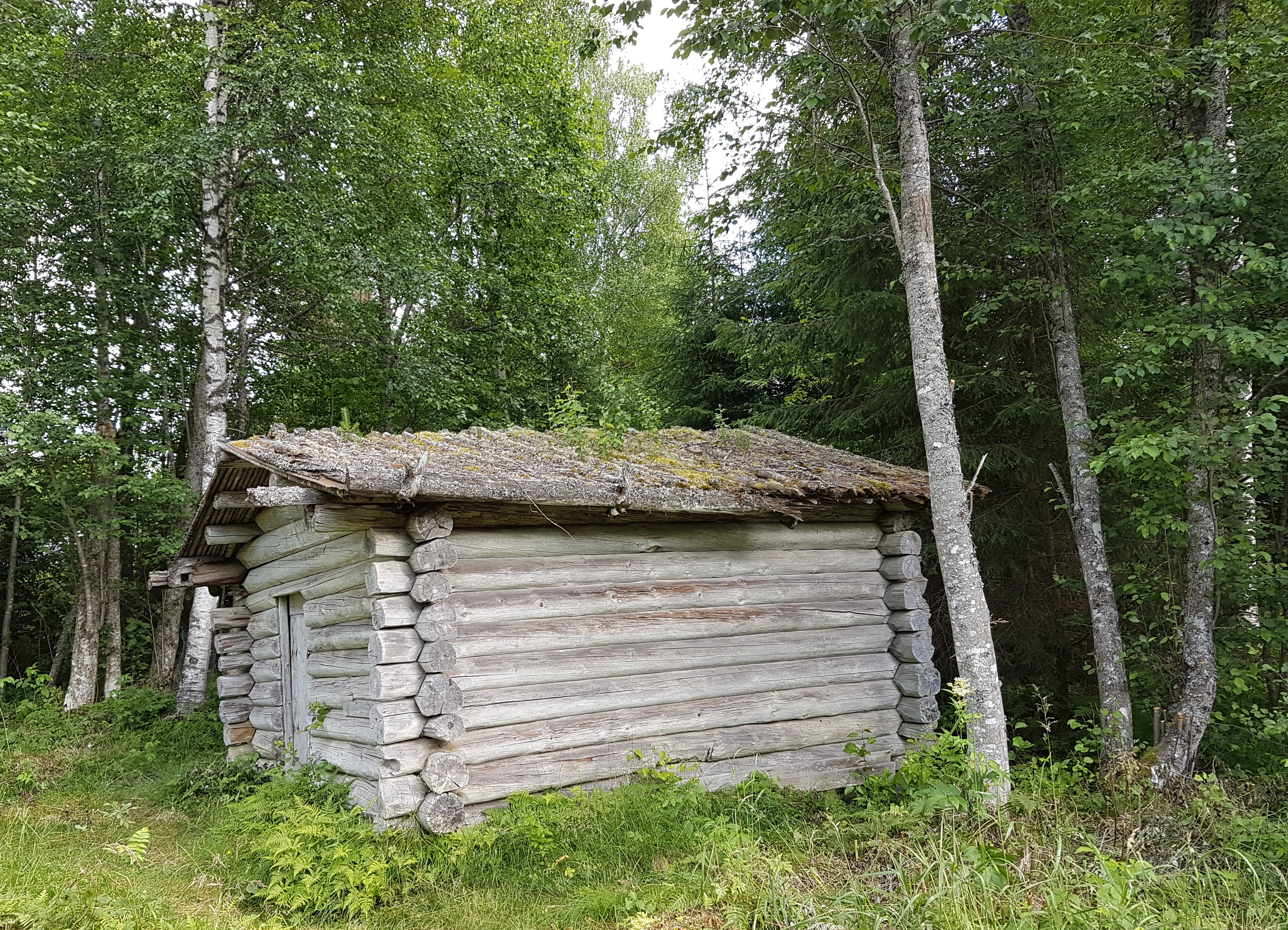 20220718_163257.jpg