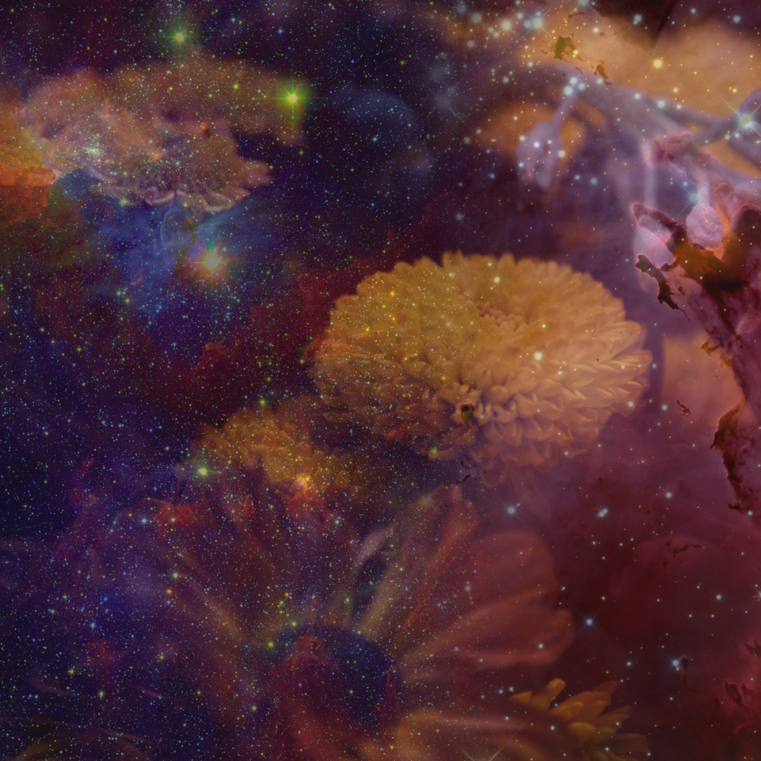 Untitled design (1).png