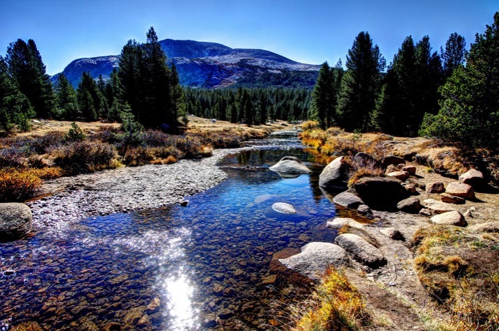 Tioga-Photo-by-David-Vega.jpg
