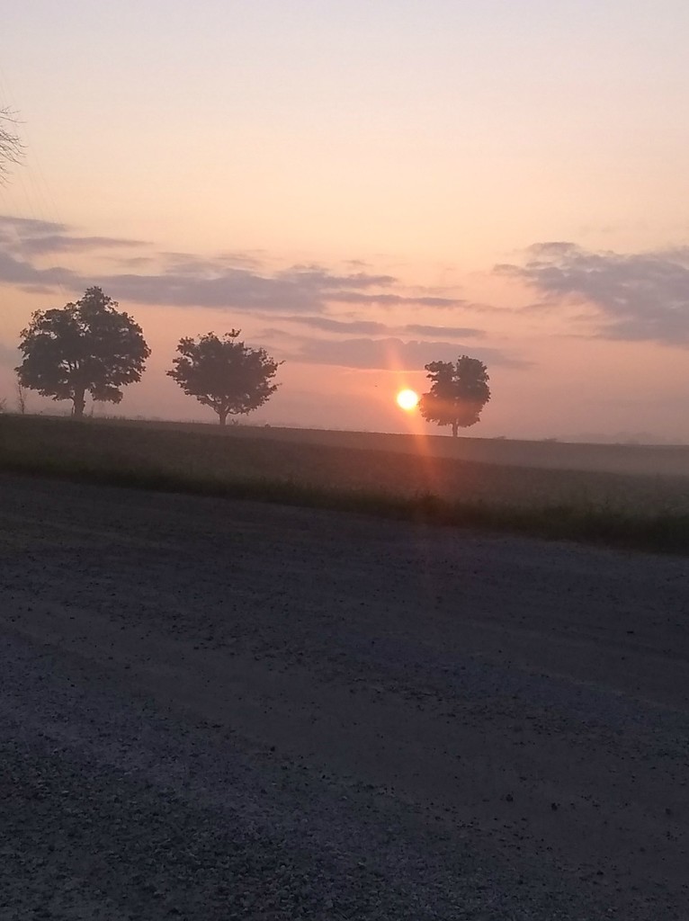 sunrising.jpg