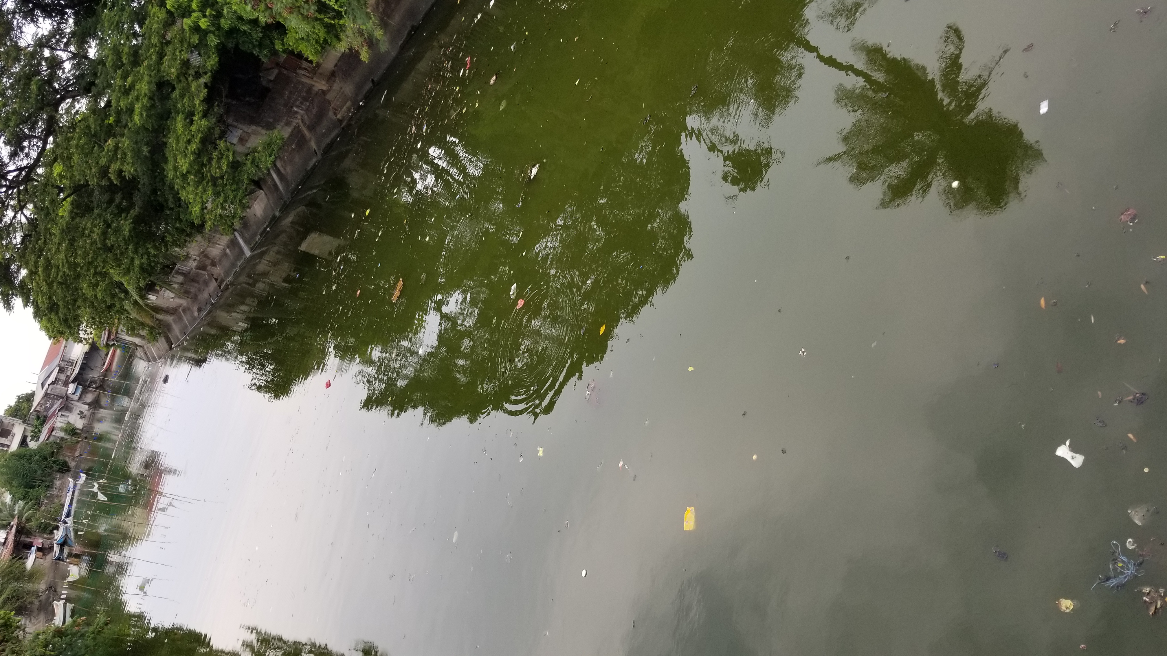 20180525_154827.jpg