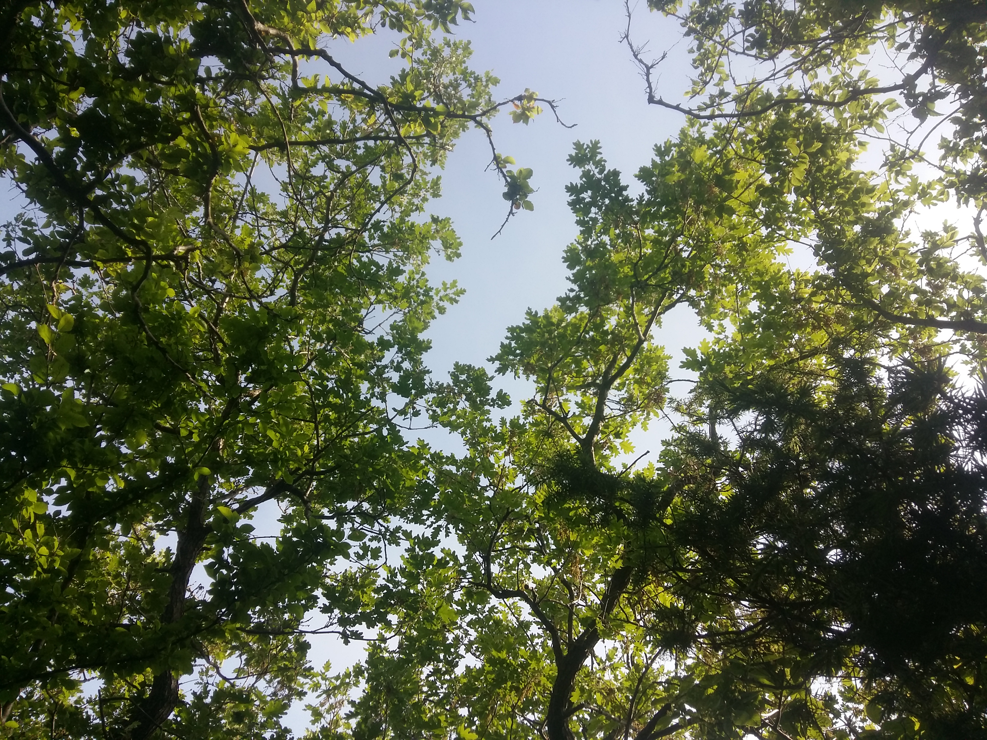 20180504_161254.jpg