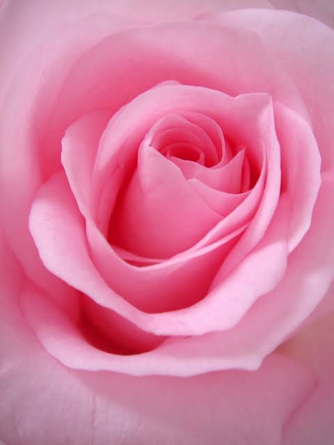 images (15).jpeg