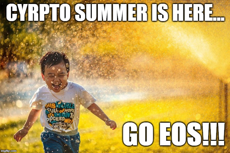 crypto_summer.jpg