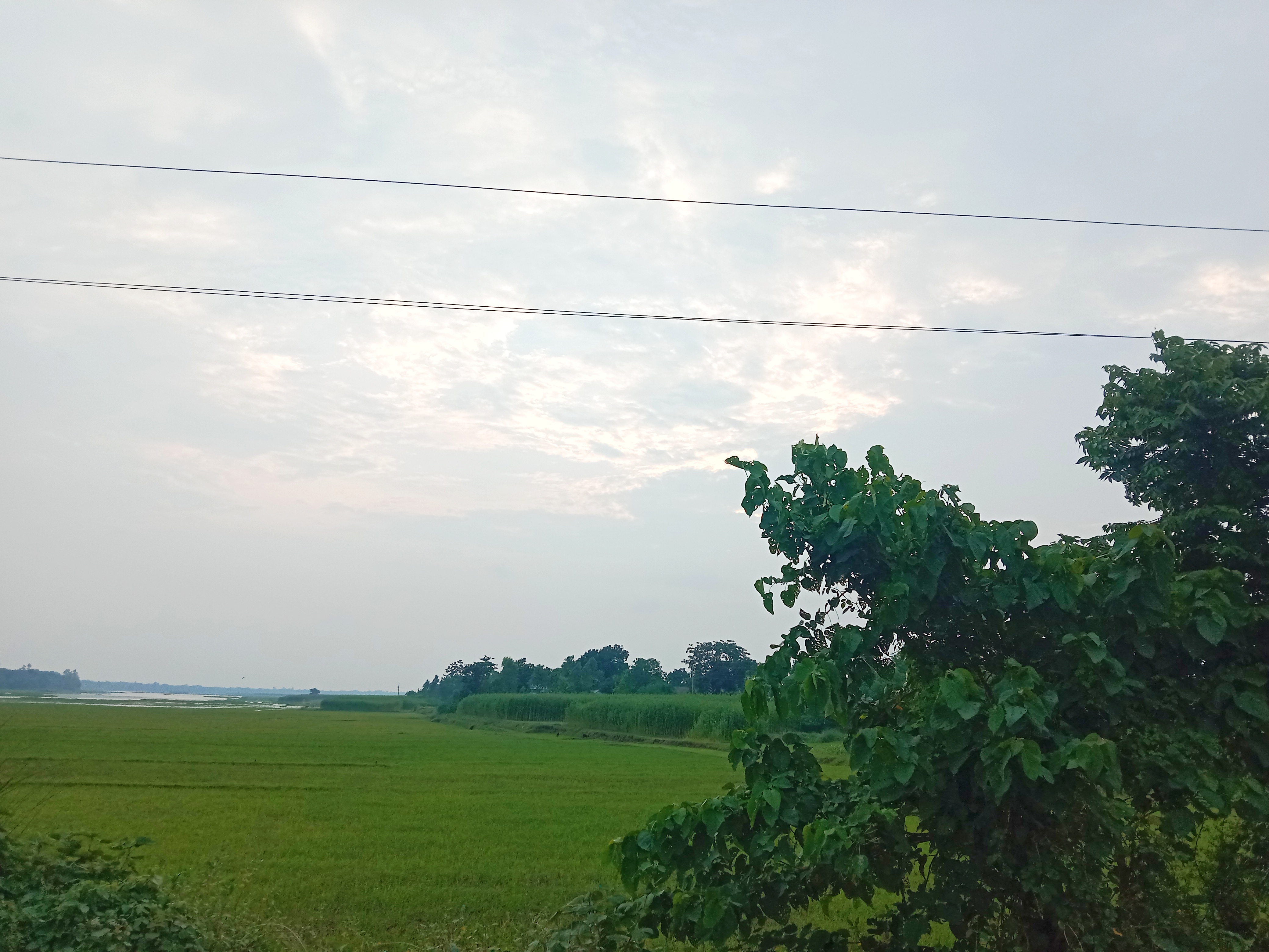 IMG_20260720_104107.jpg