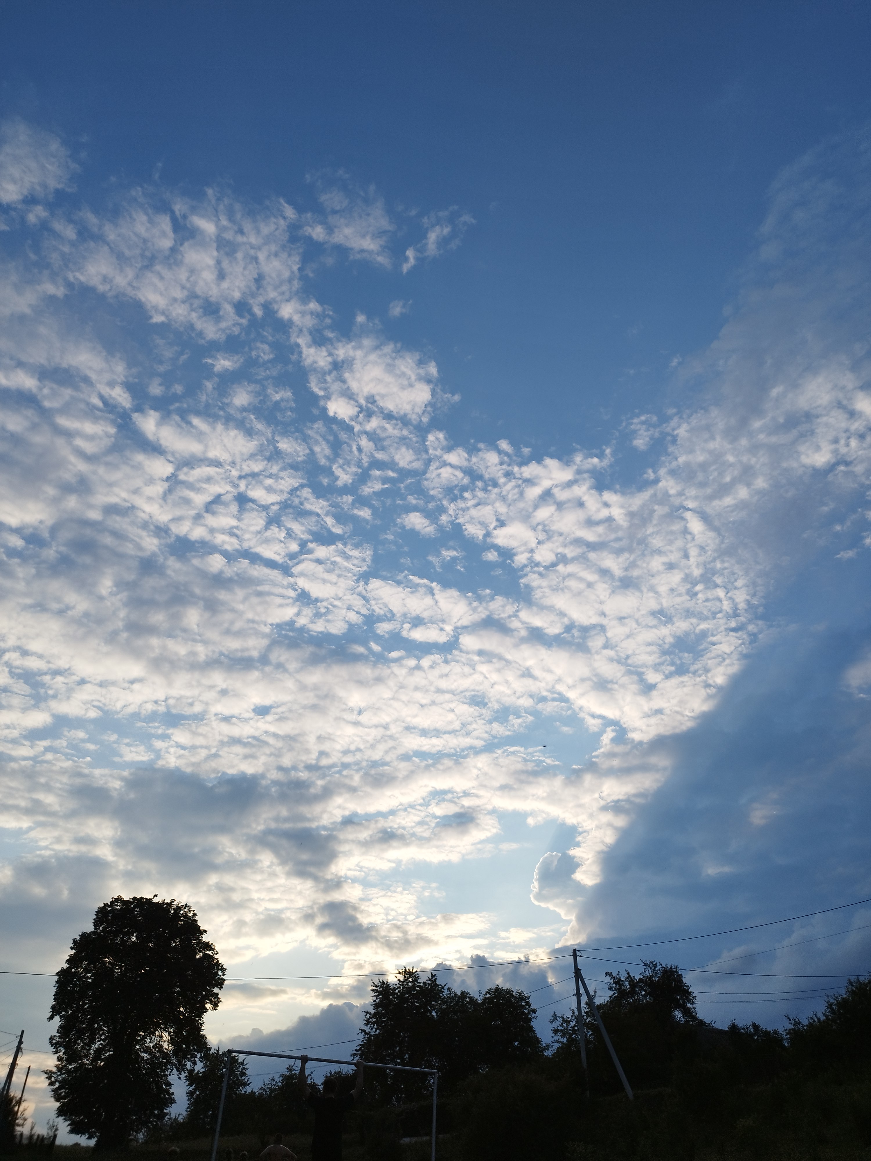 IMG_20260719_201911.jpg