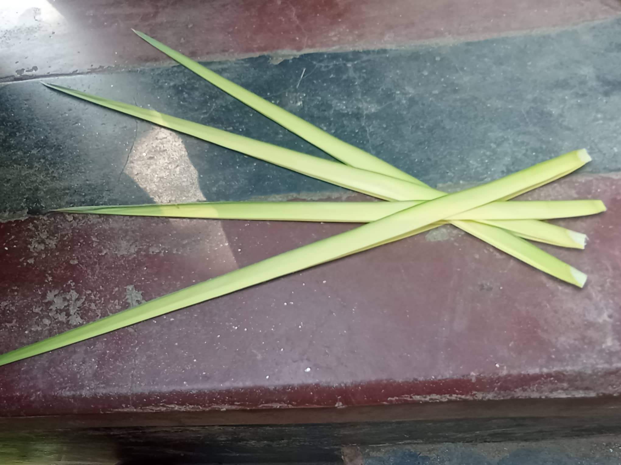 received_307017221562780.jpeg
