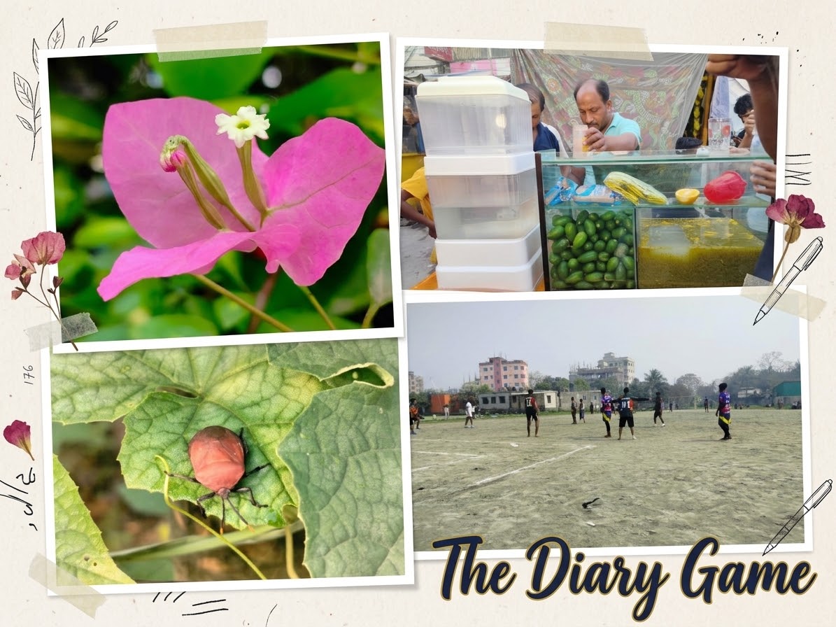 The Diary Game:- Moments of a beautiful day.