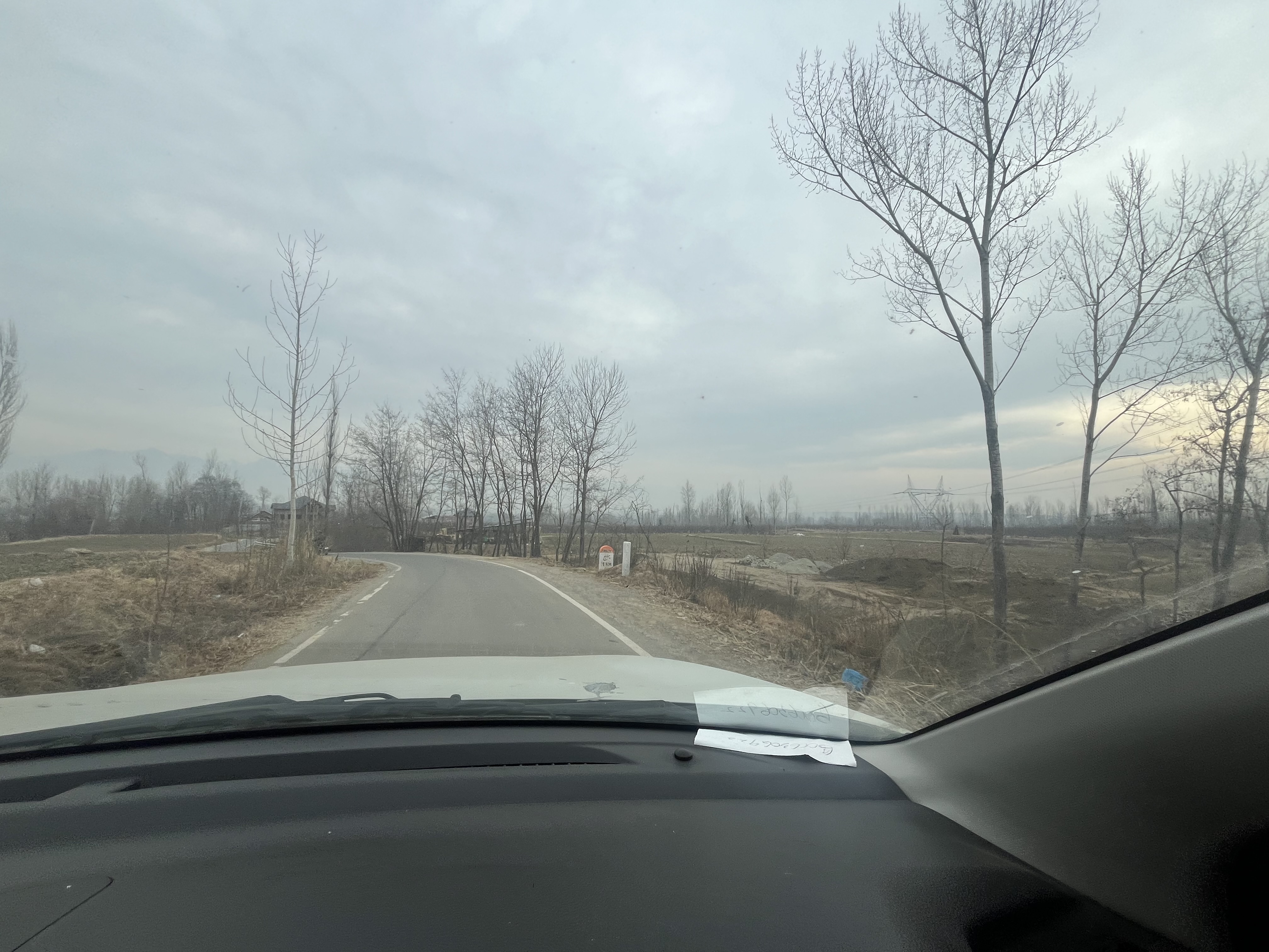 IMG_6985.jpeg