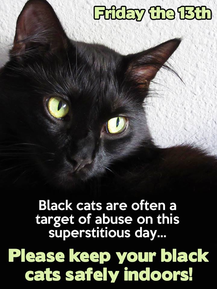 Friday13thBlackCats_13.png