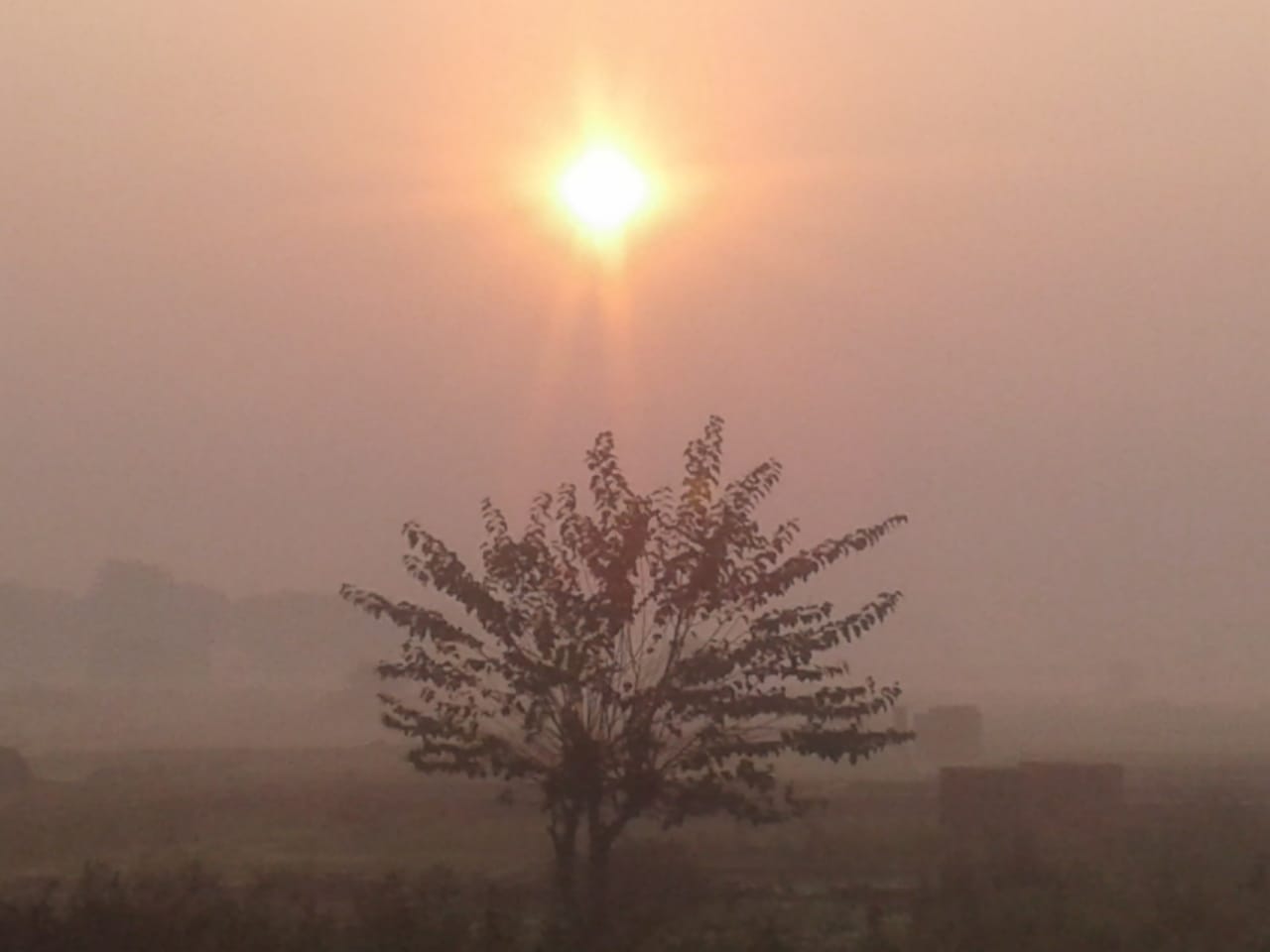 IMG-20211111-WA0008.jpg