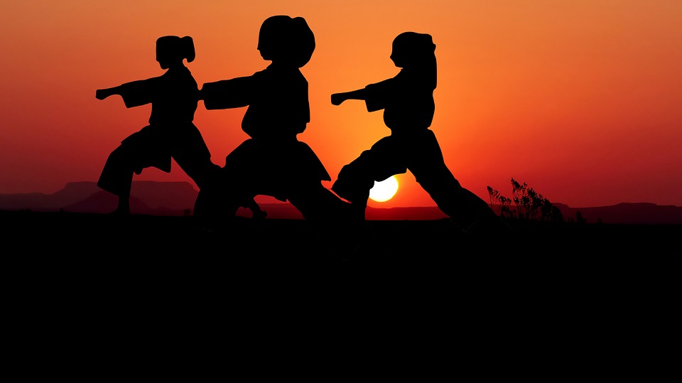 karate-3961086_960_720.jpg