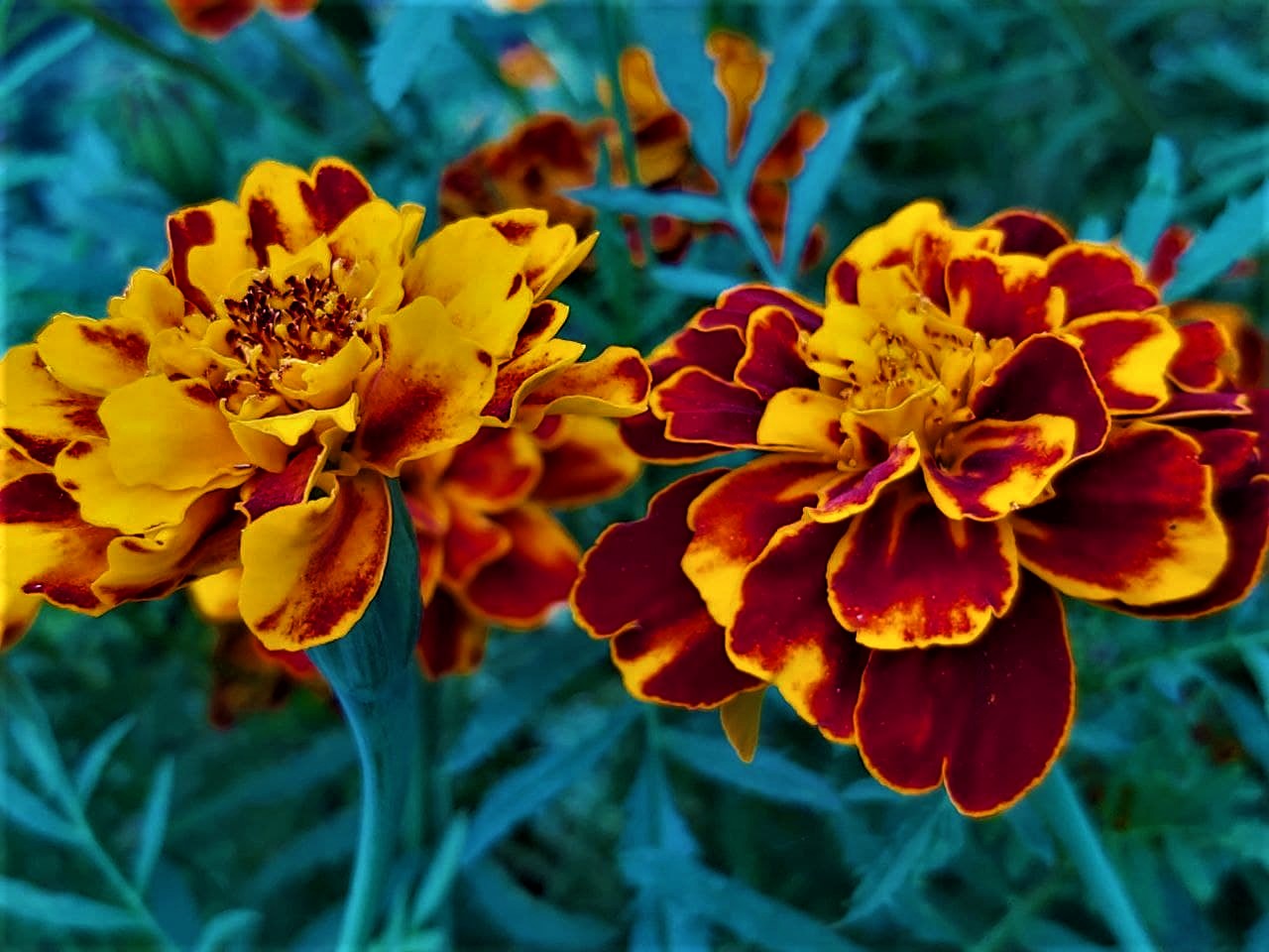 photo_2021-09-11_11-34-05 (3).jpg