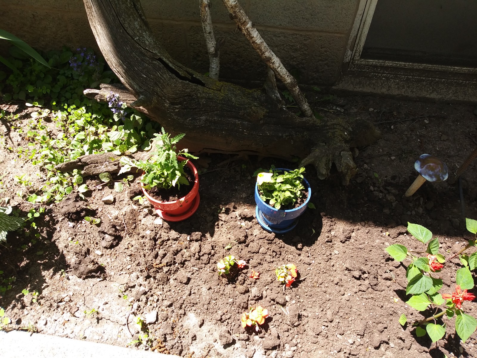 20190526_131835.jpg