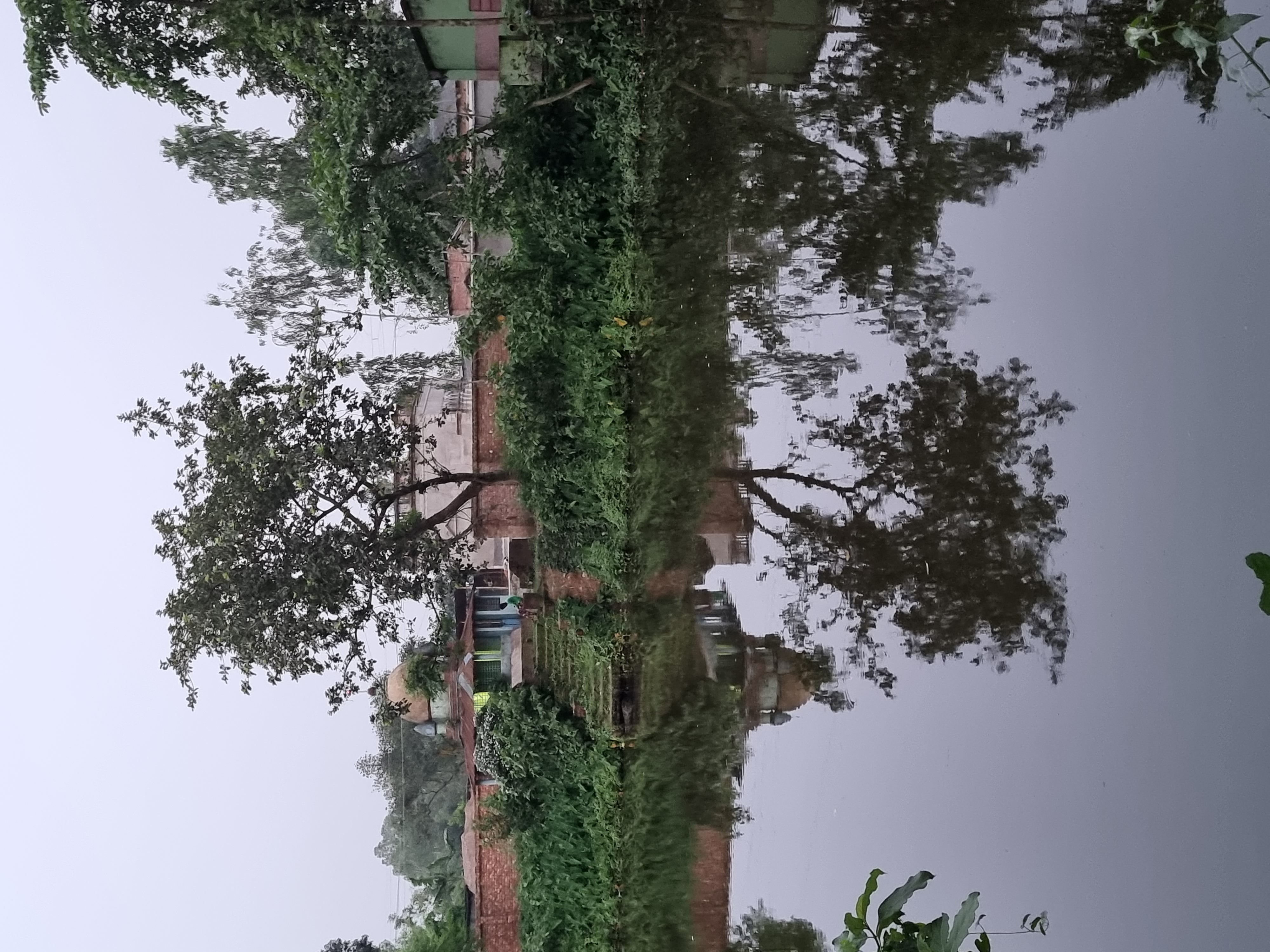 20220606_185550.jpg