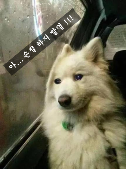 3s4dfgw53jhkh23hjg423j4hgk4ug3j56g4jh.png