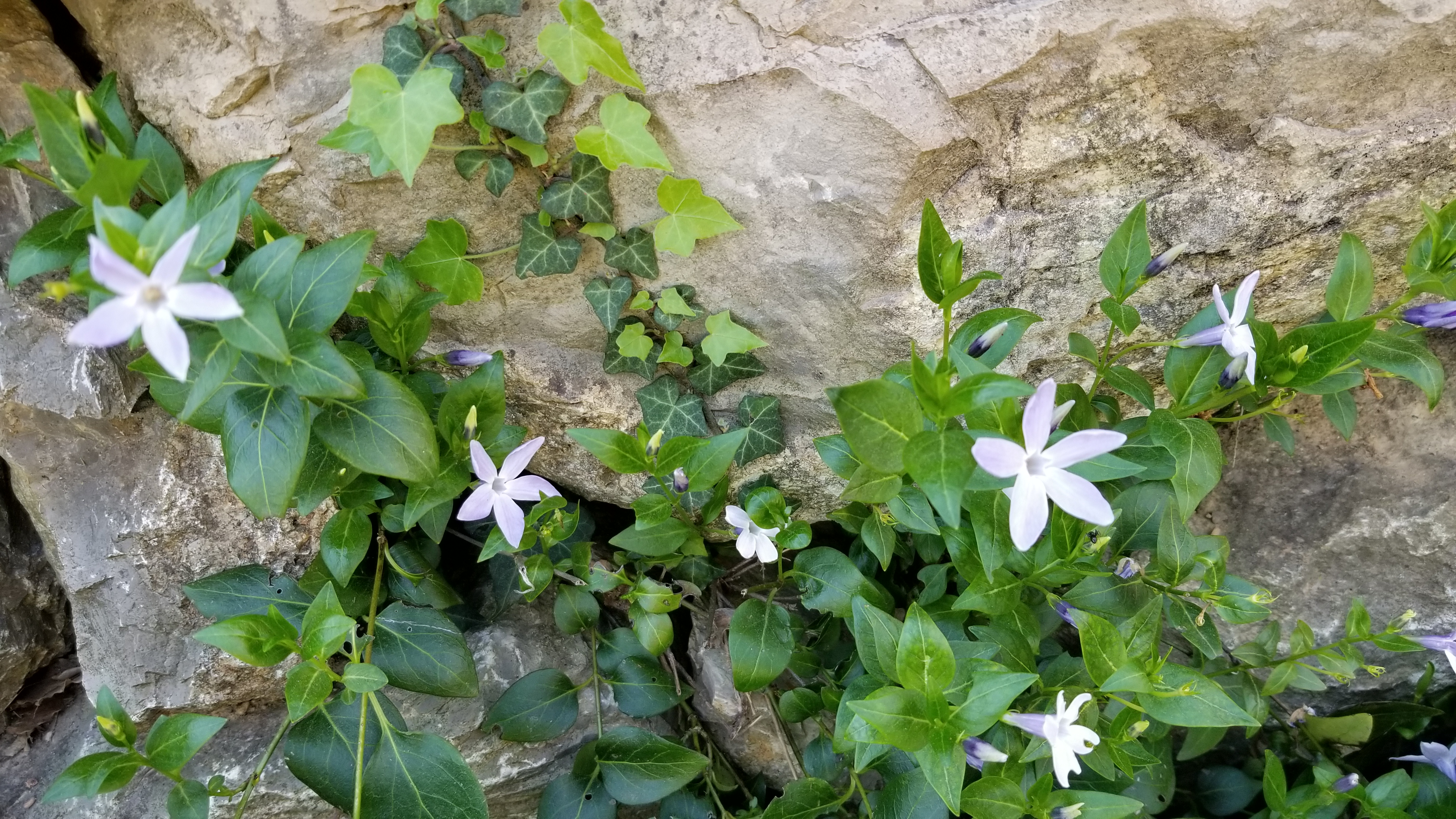 20180421_120806.jpg