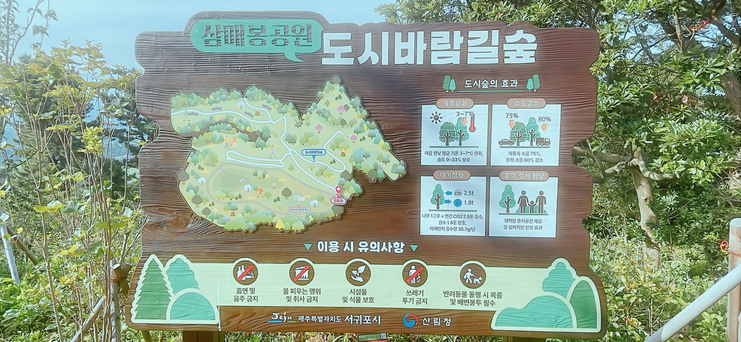 KakaoTalk_20260712_165254121.jpg