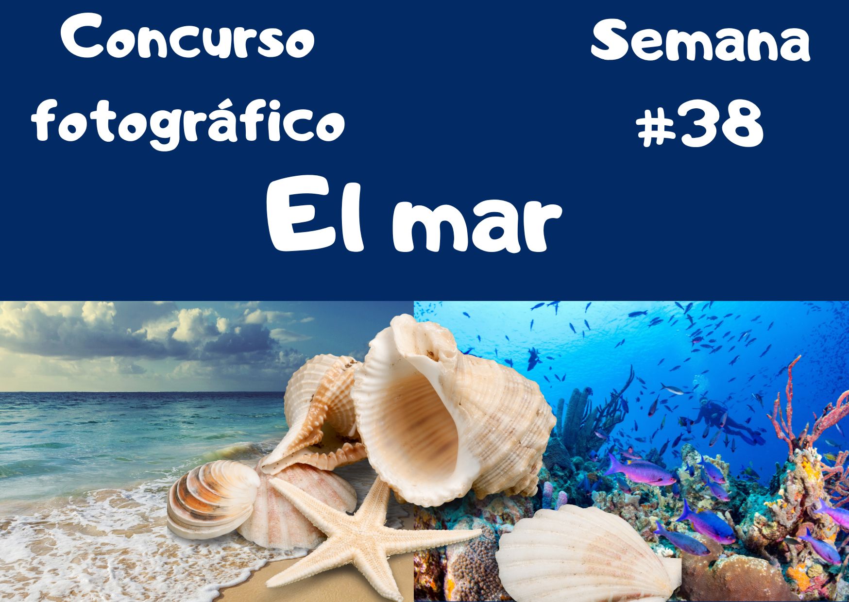 Concurso fotográfico (6).jpg