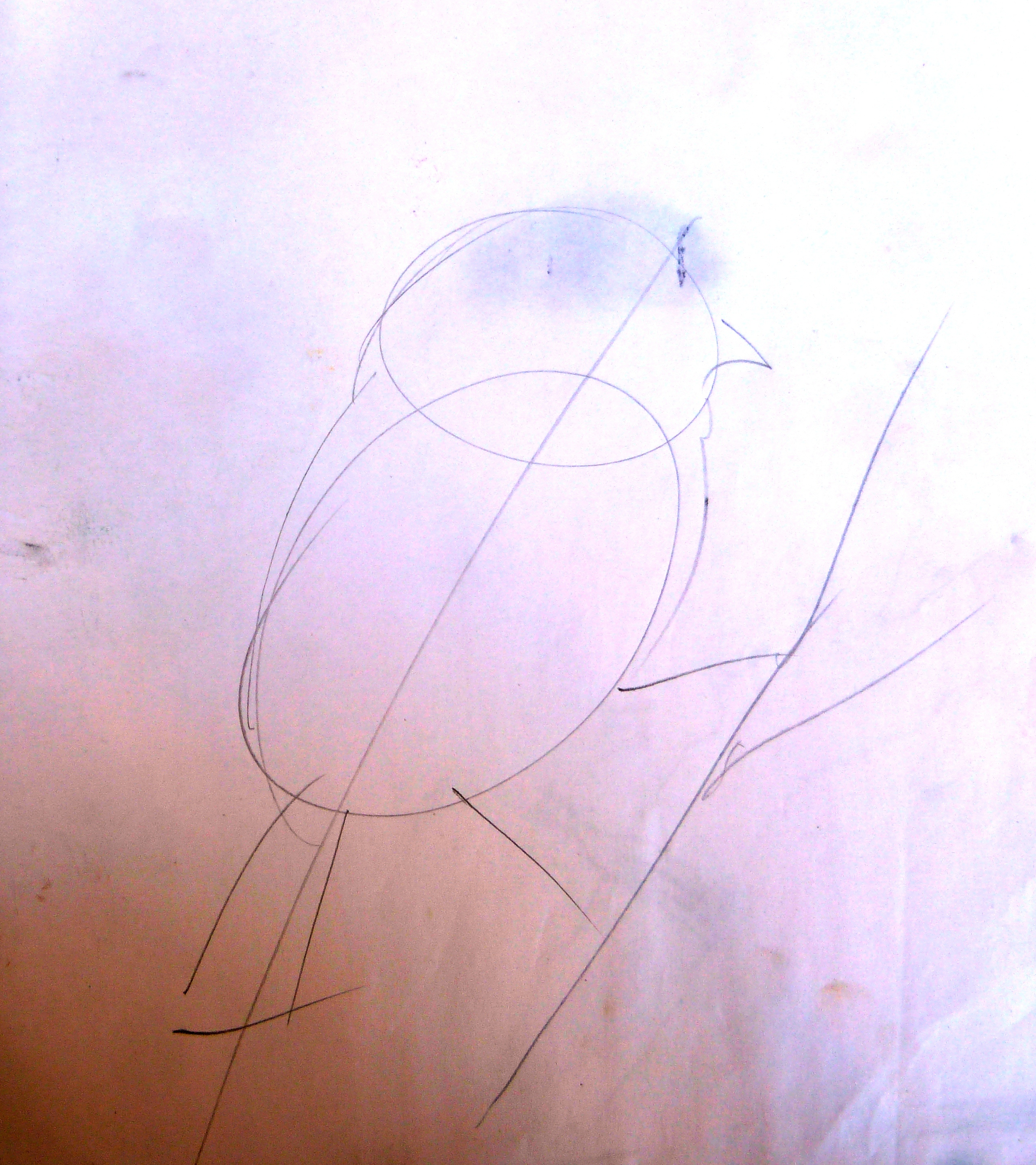 P1530513.JPG