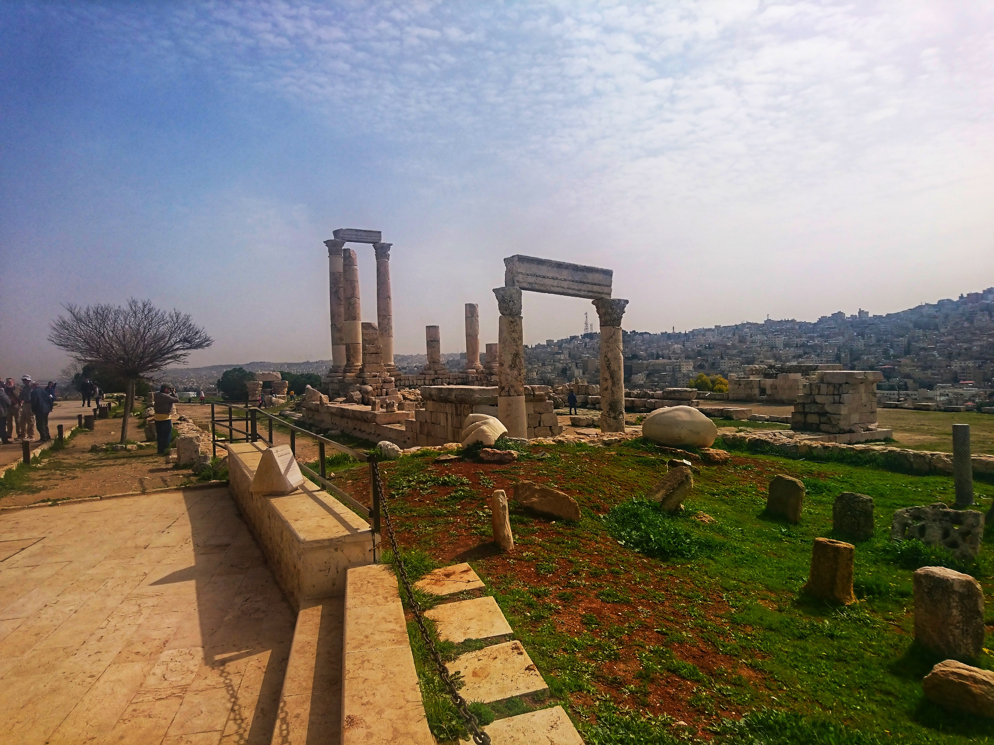DSC_0952-01.jpeg