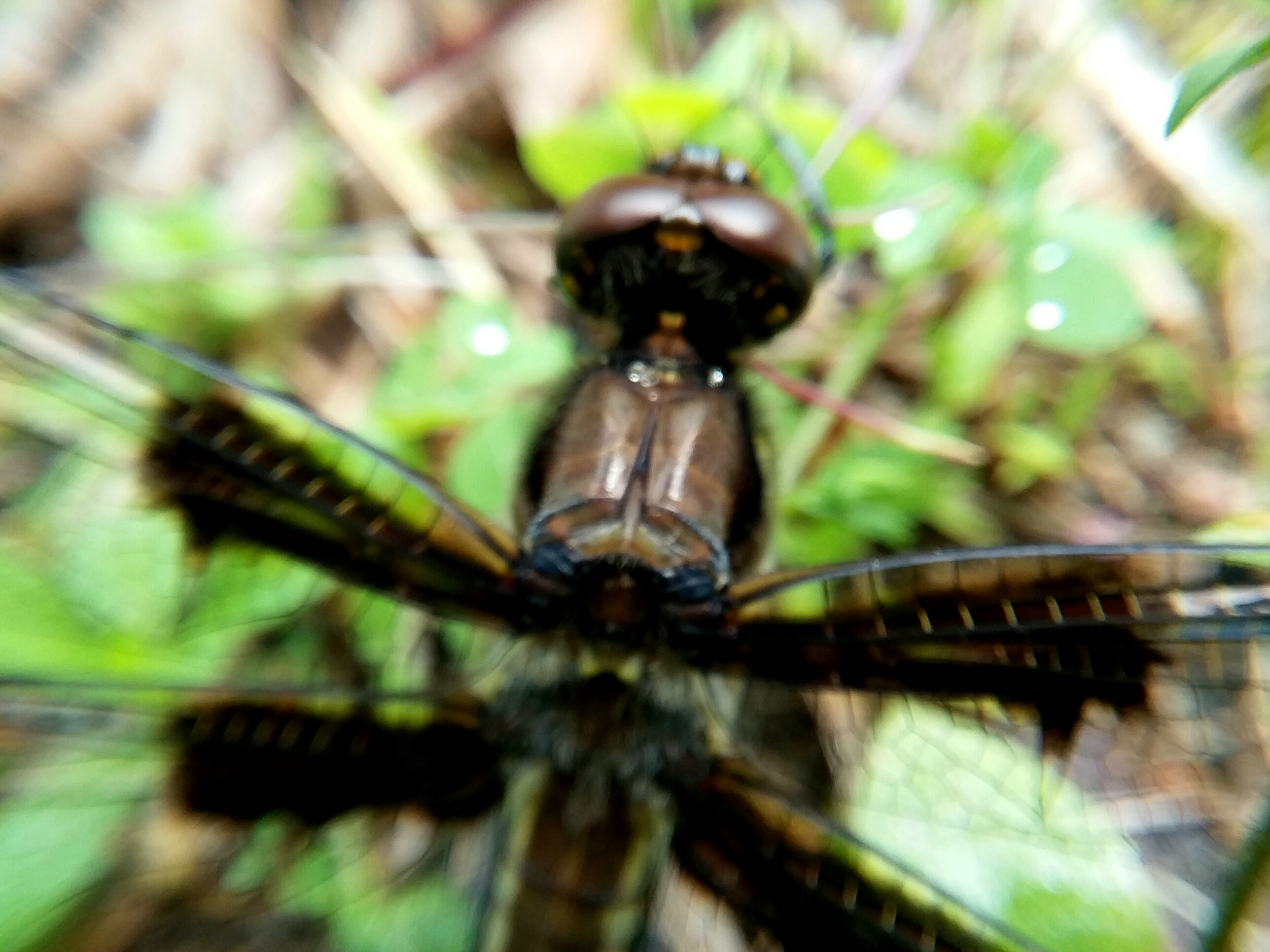 20190625_195640.jpg