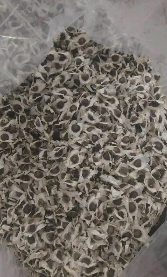 1000344893.jpg