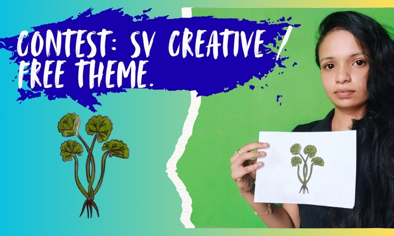 Contest SV Creative Free Theme. (10).jpg