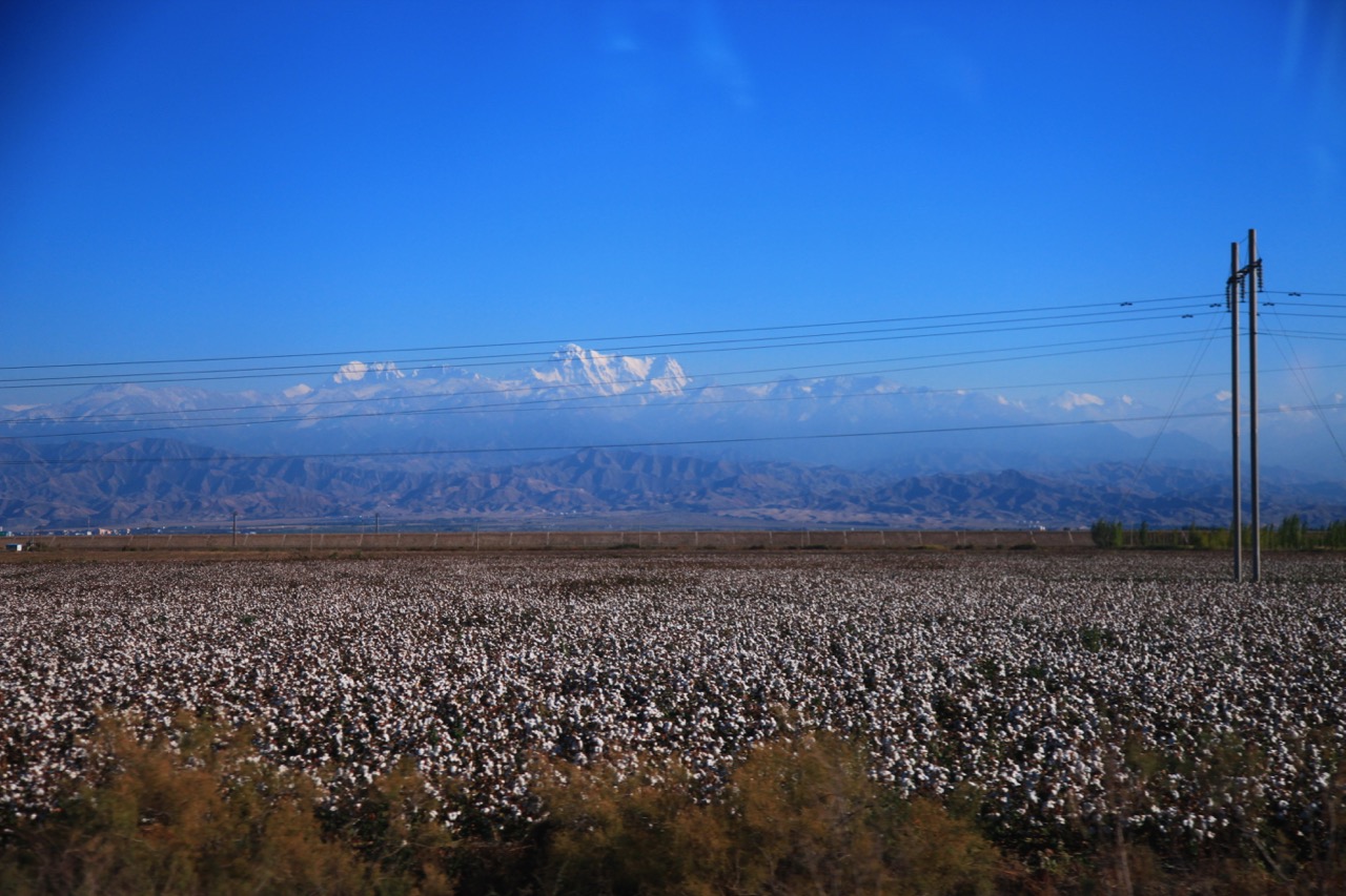 IMG_1536.jpg