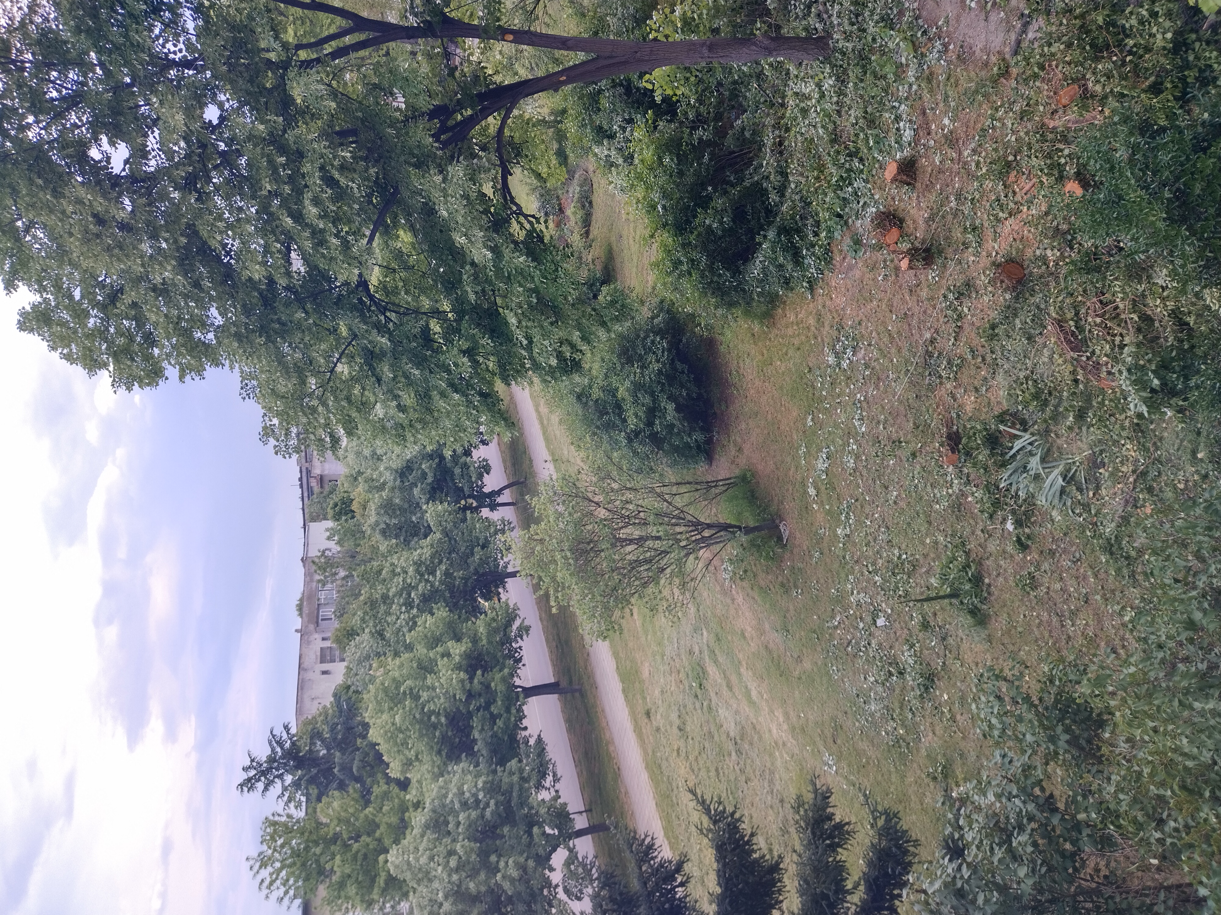 IMG_20260519_183425_HDR.jpg