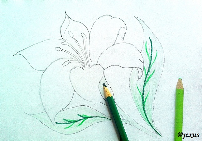 06-Flor.jpg