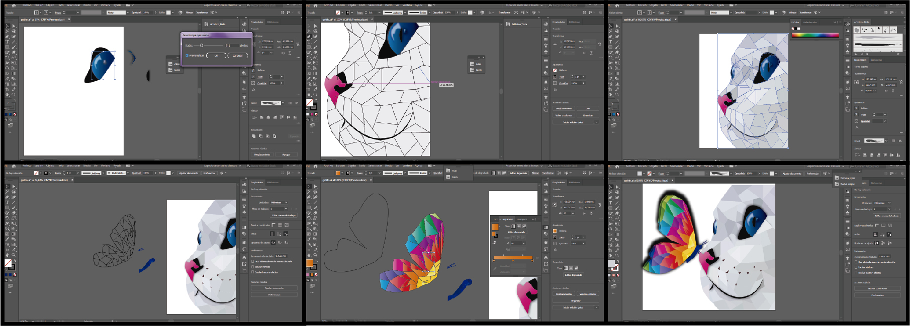 proceso gatoymariposa.jpg