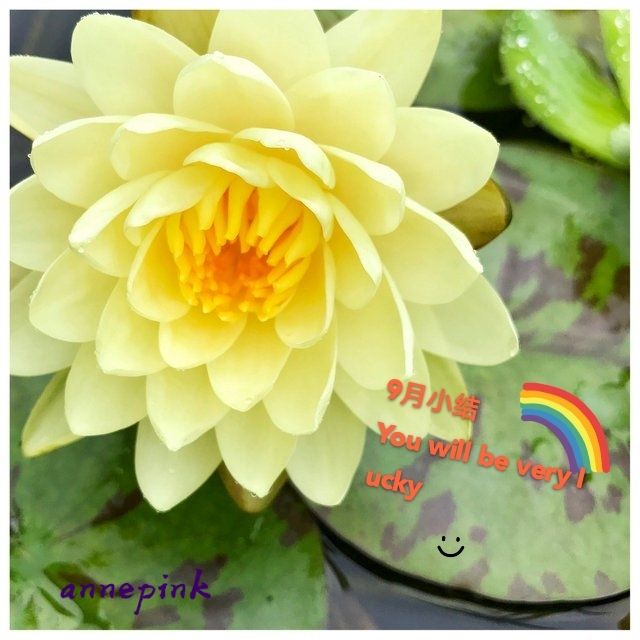 annepink9⃣🈷小结🧡