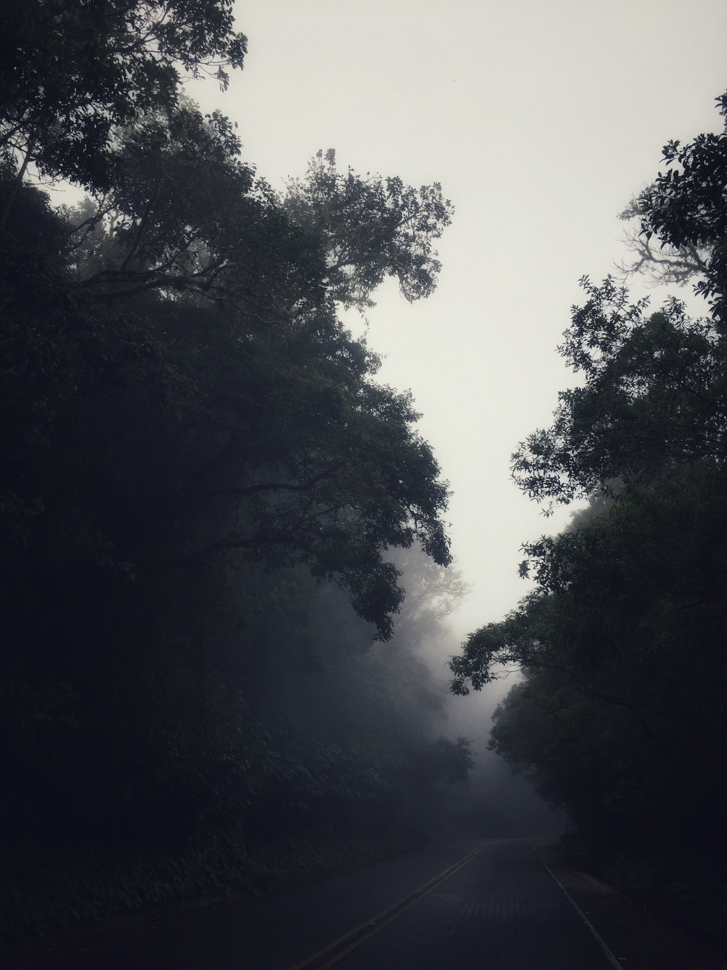 DF779085-2241-433A-9D08-EA9DBCF3E3C1.jpeg