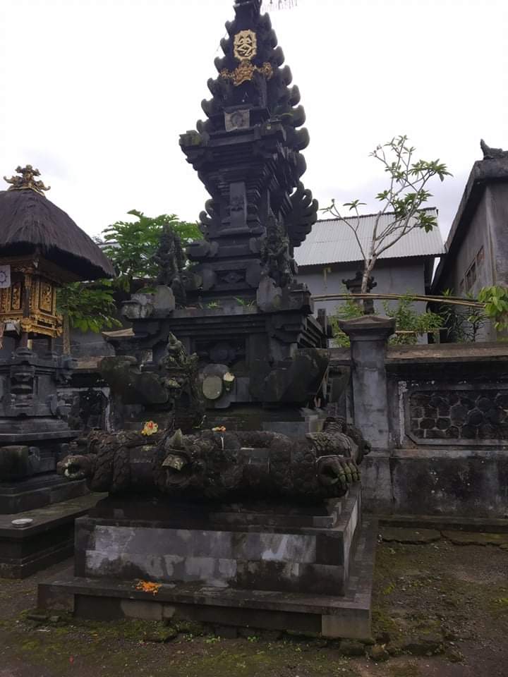 received_352092962704618.jpeg