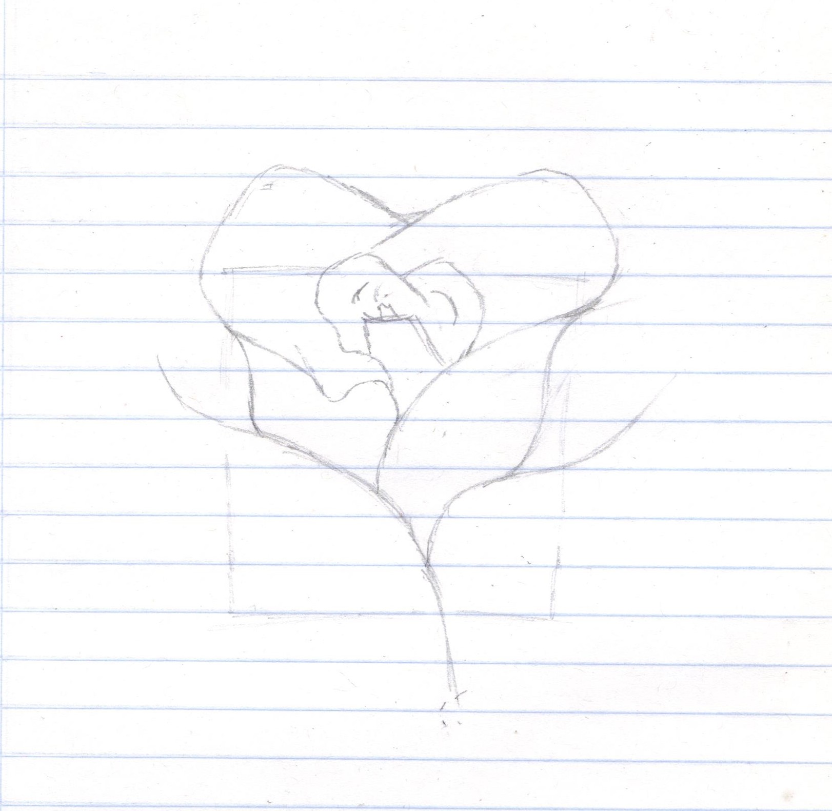 rosa1 001.jpg
