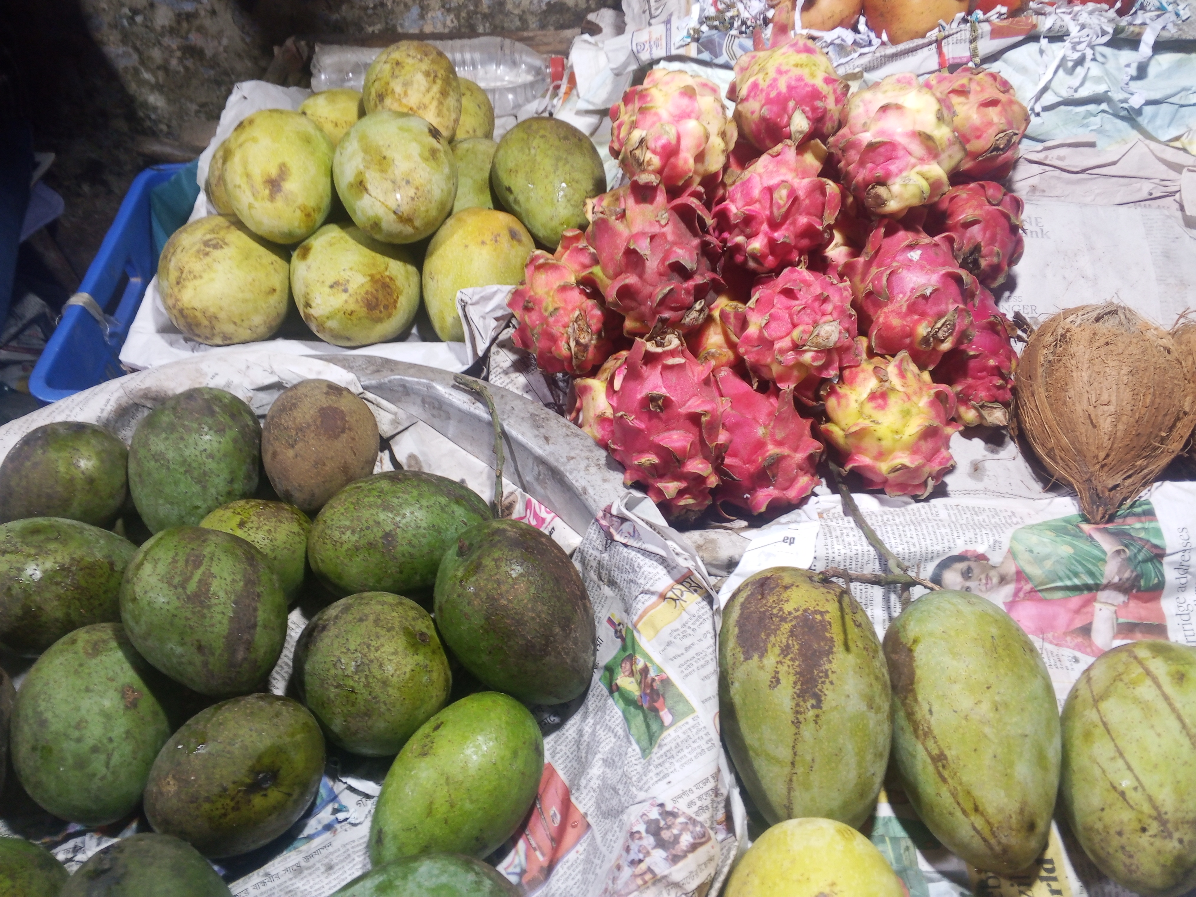 56041.jpg