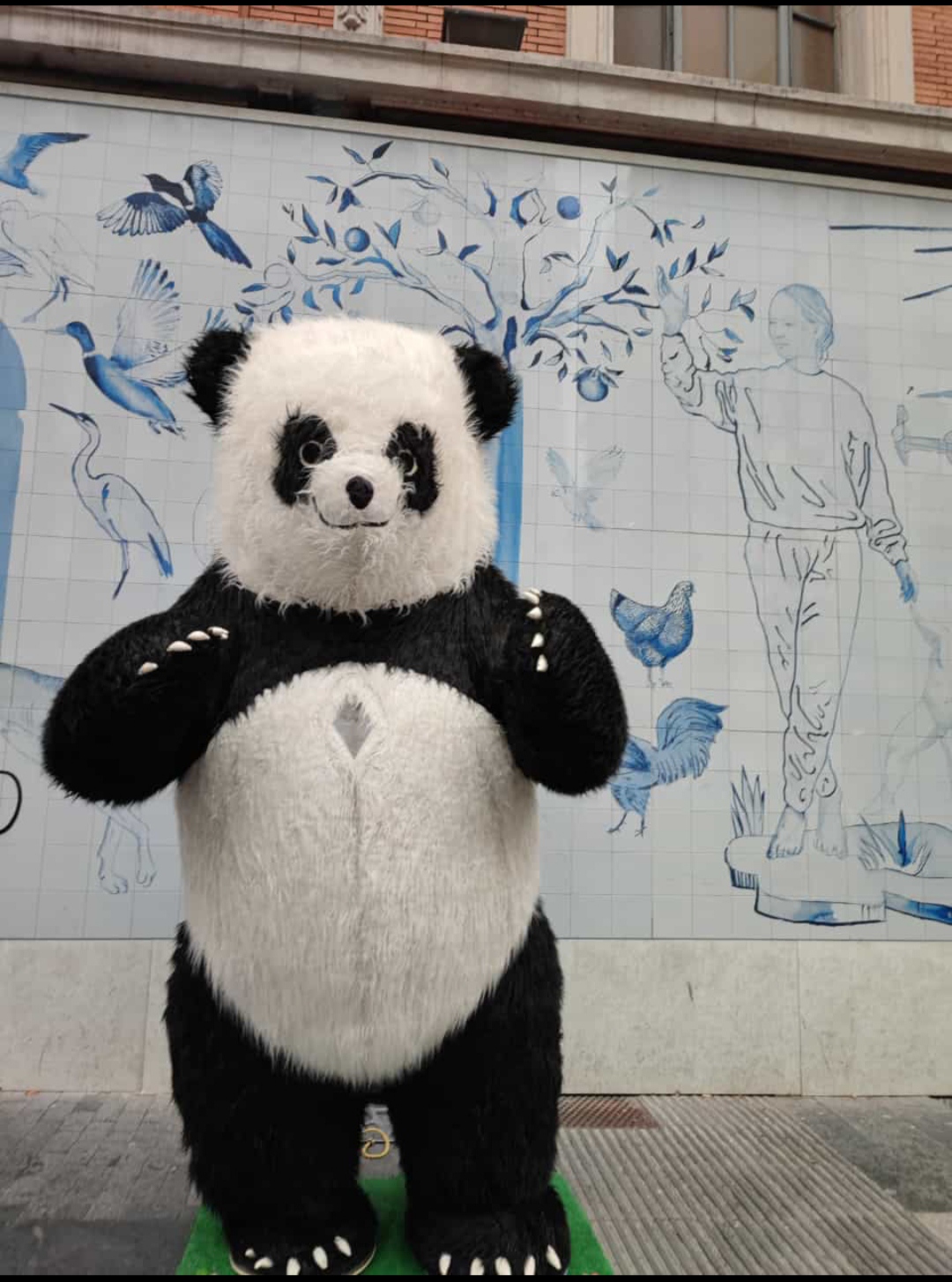IMG_20220107_205326.jpg