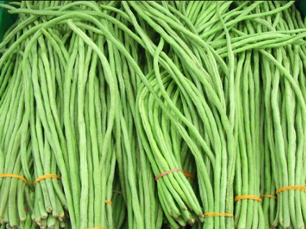 kacang panjang.png