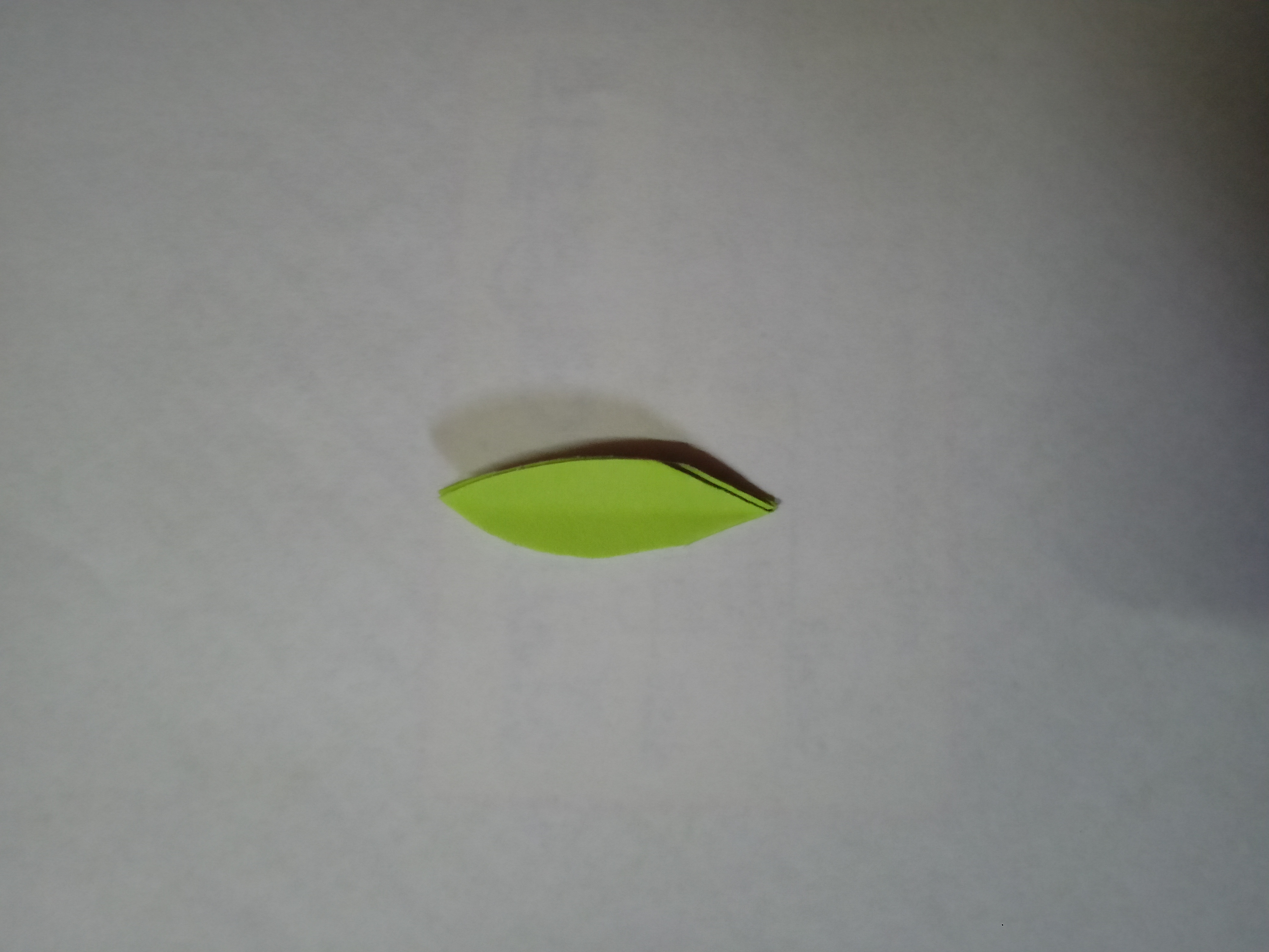 IMG20211028170859.jpg