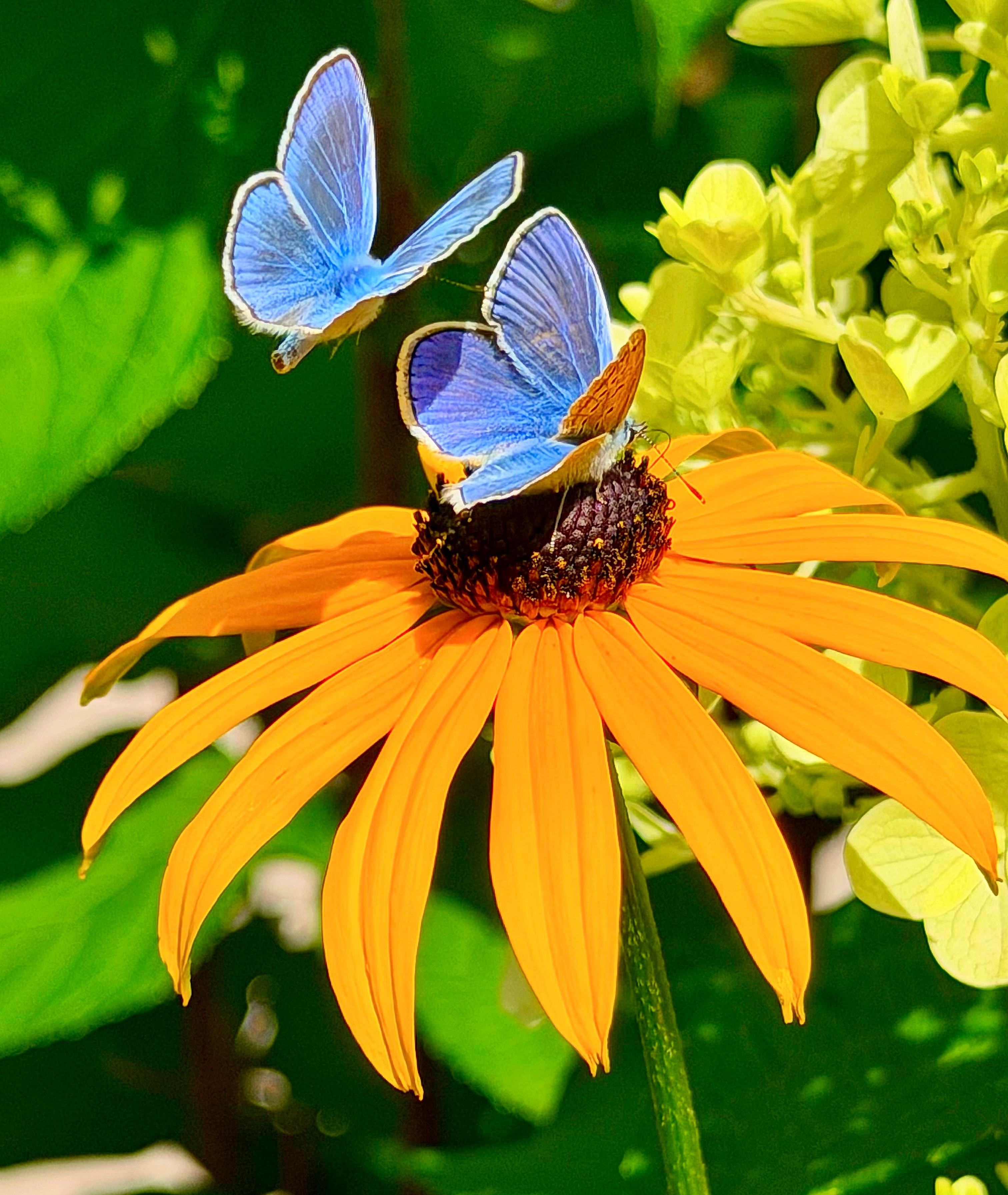 1000025179.jpg